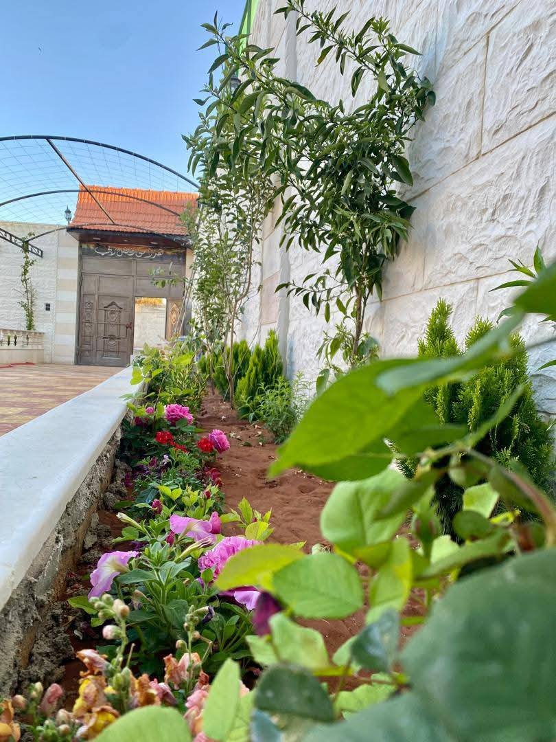 499916055_2423939531305358_8320145188284816170_n