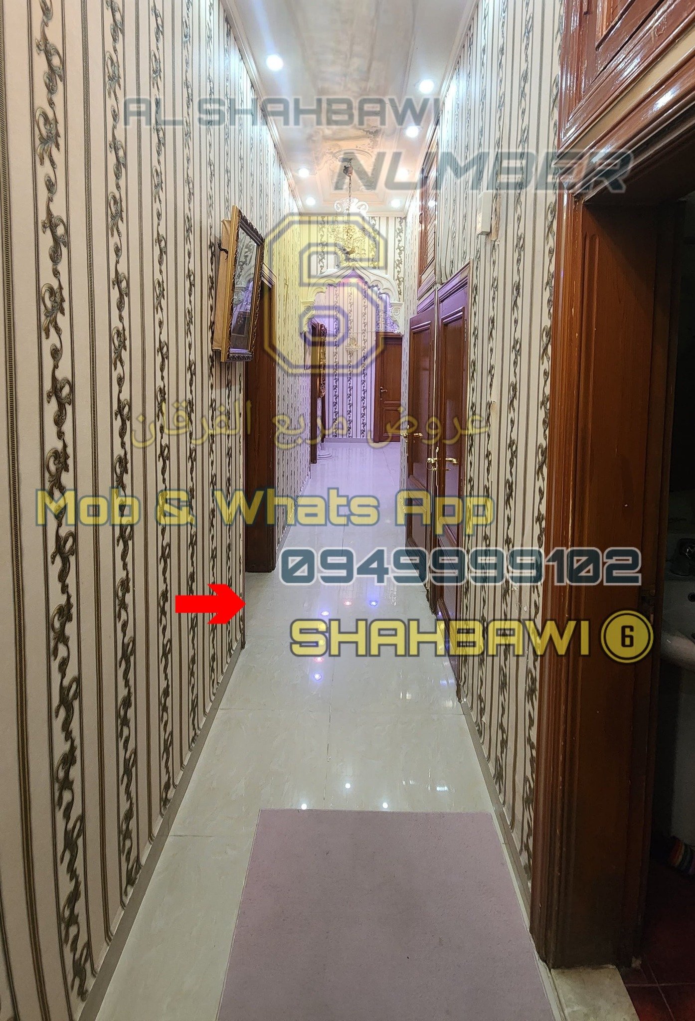 499934181_1130293705791839_1240350450375066412_n