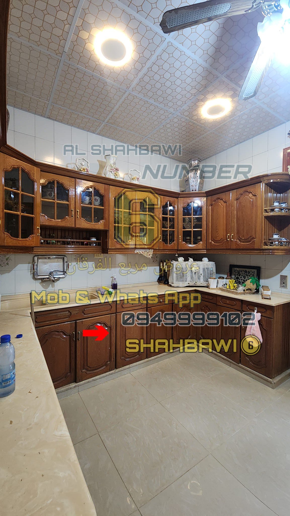 500011079_1130293852458491_9174881147754206706_n