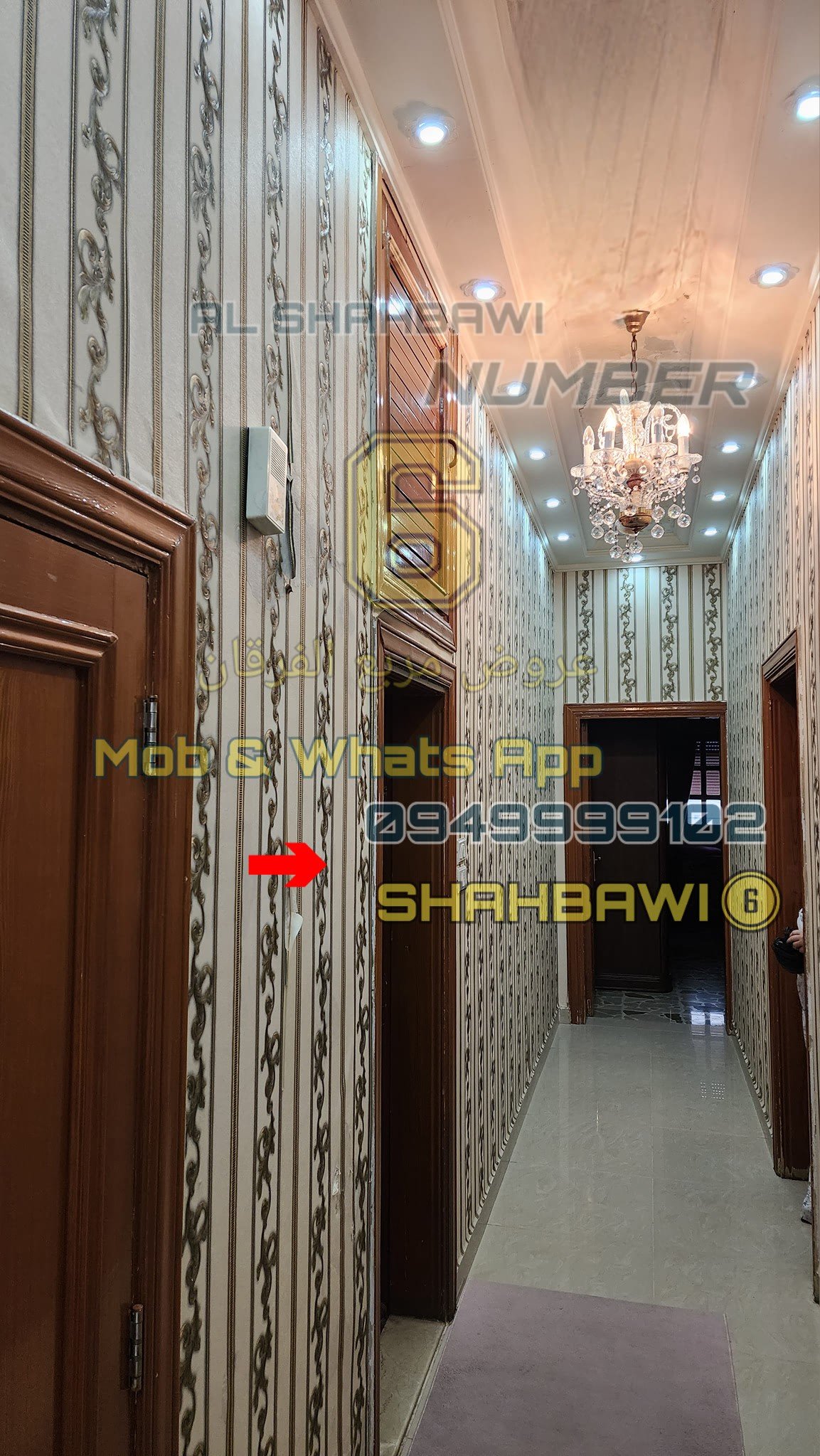 500090931_1130293775791832_5459411793374433190_n