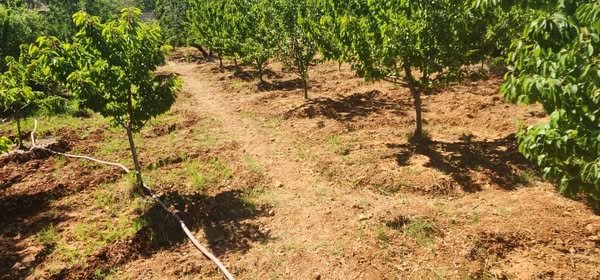 500135028_640912442293661_2158775919053015026_n