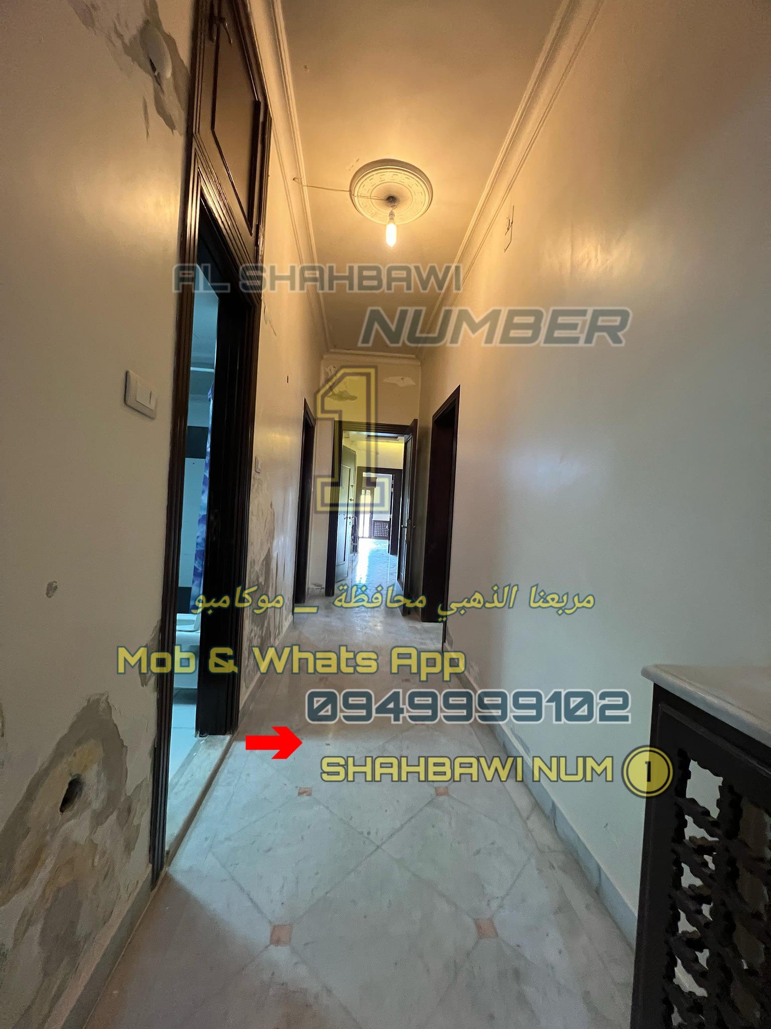 500225147_1132643622223514_2018255034005451734_n