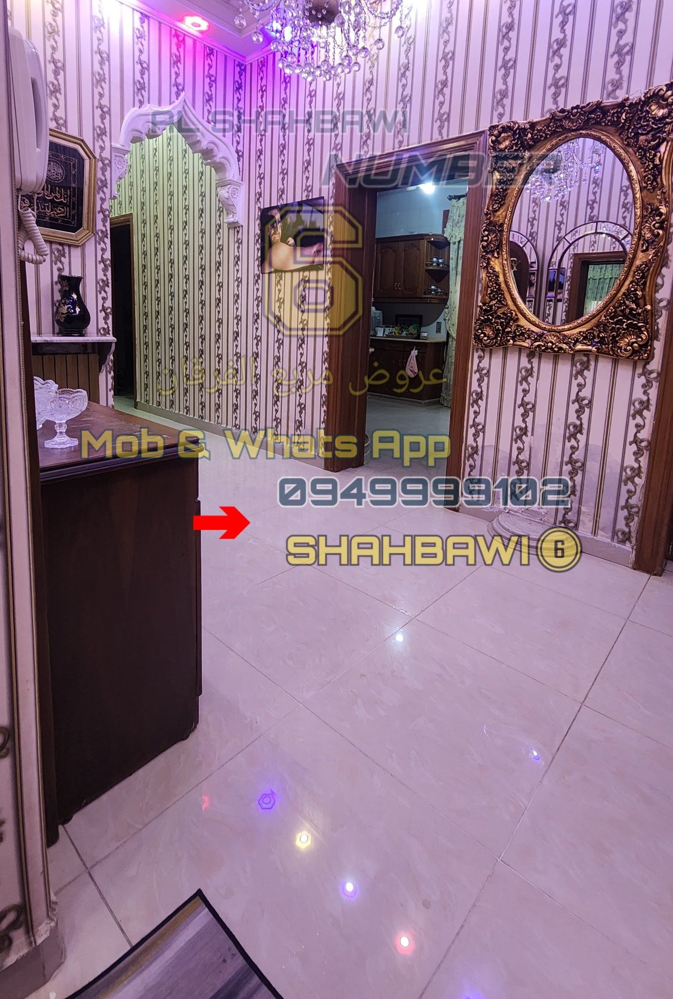 500277182_1130293755791834_7611180599231136898_n