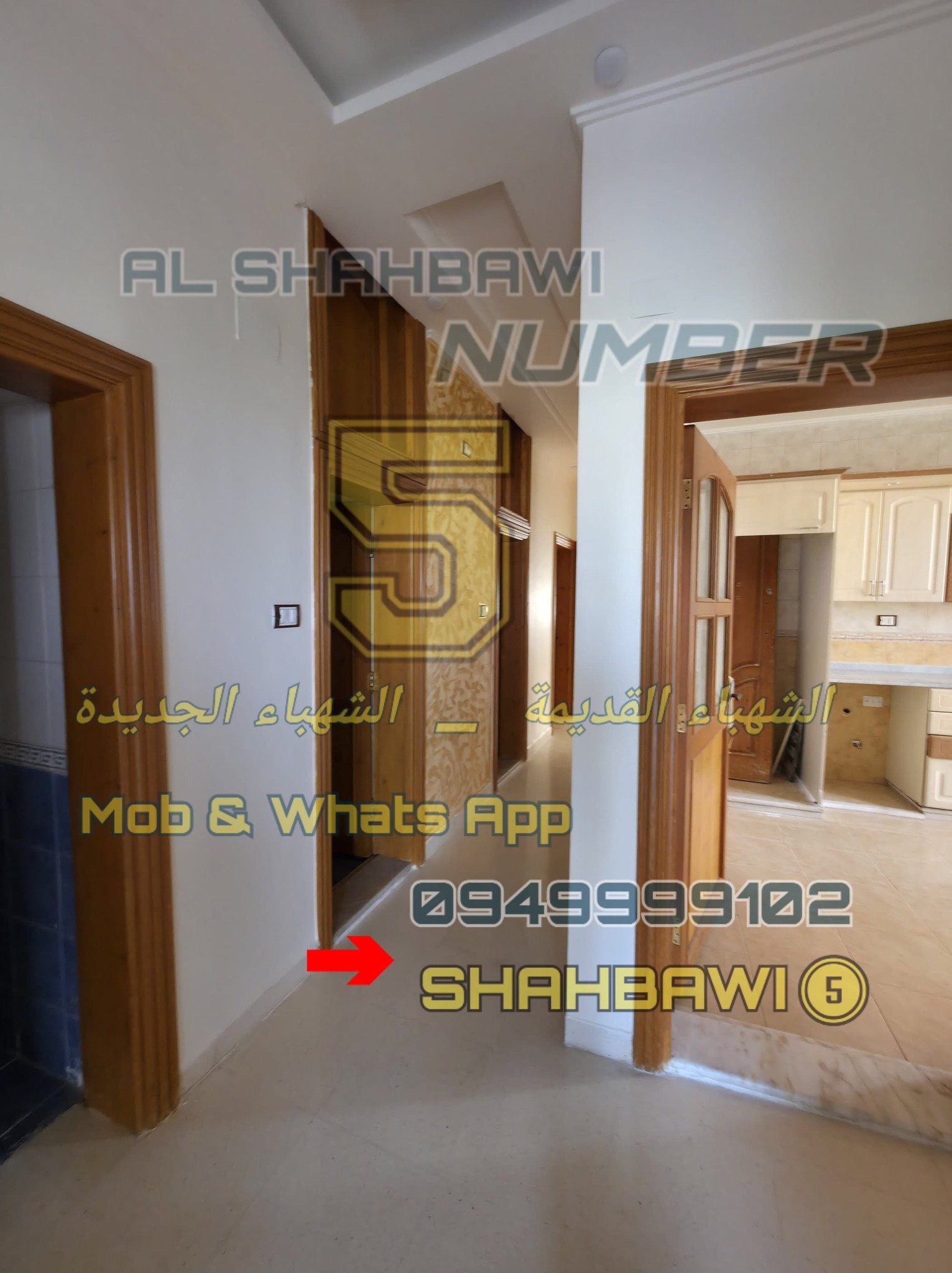 500309319_1131077982380078_3808779727556861125_n