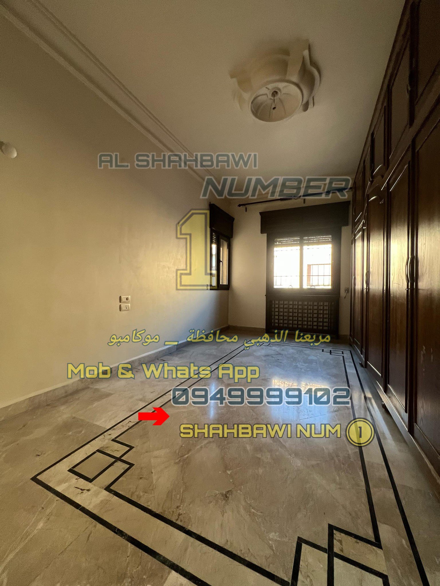 500411581_1132644248890118_9149970060768033194_n