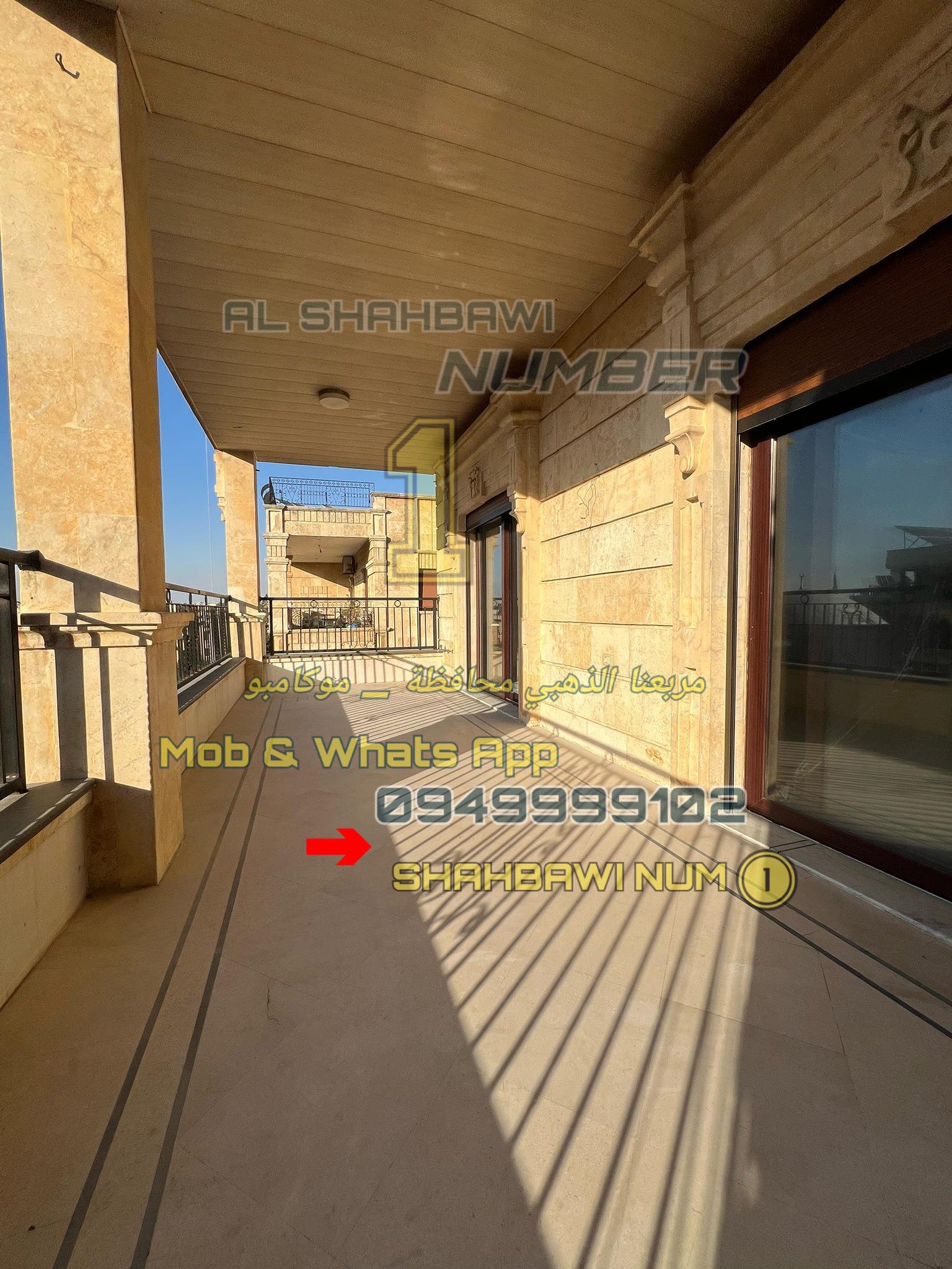 500908659_1132644065556803_6824796284495261499_n