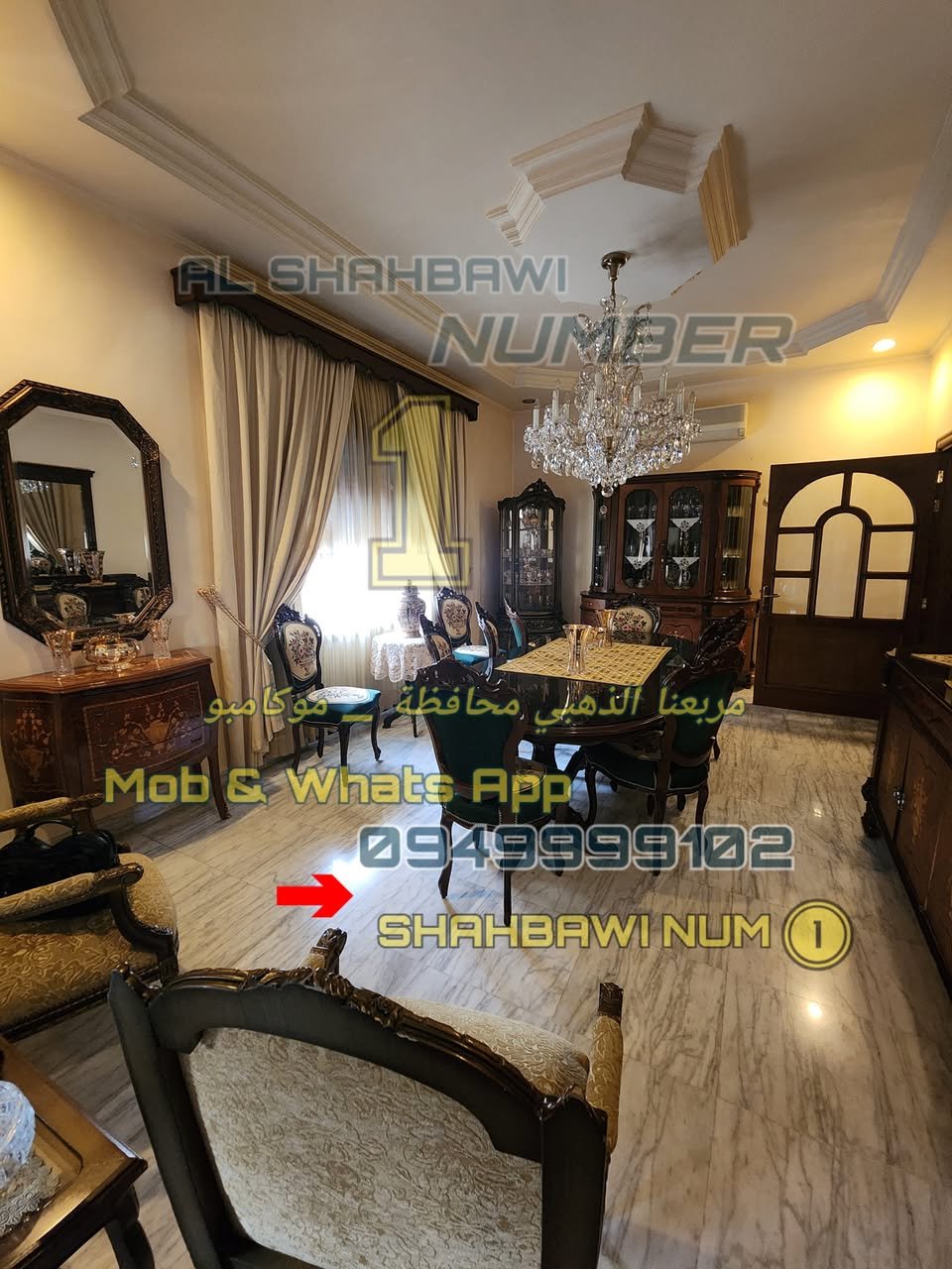 500946625_1133741538780389_319957402054053556_n