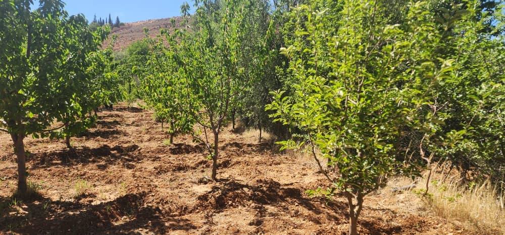 501014580_640912488960323_5925538246991320152_n