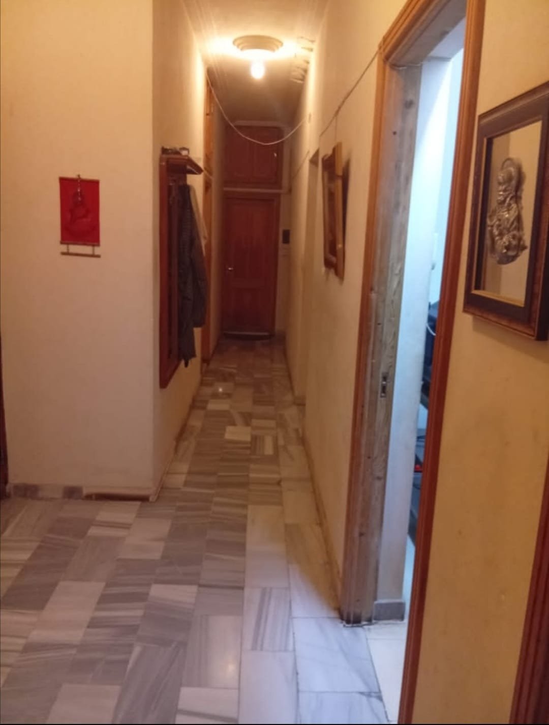 501032445_1033410438939597_3179614032450893102_n