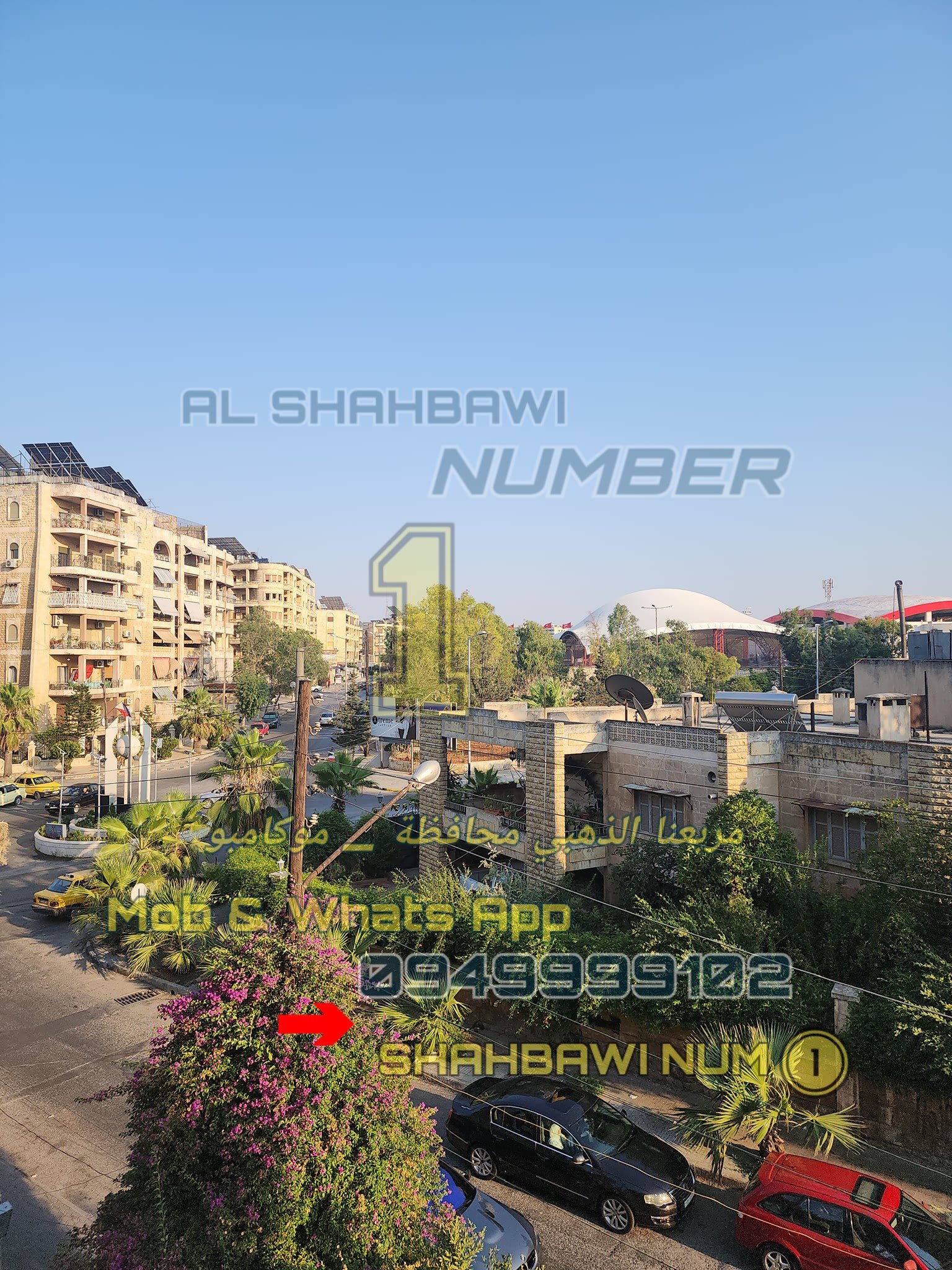 501288161_1133742168780326_1076091371936789918_n