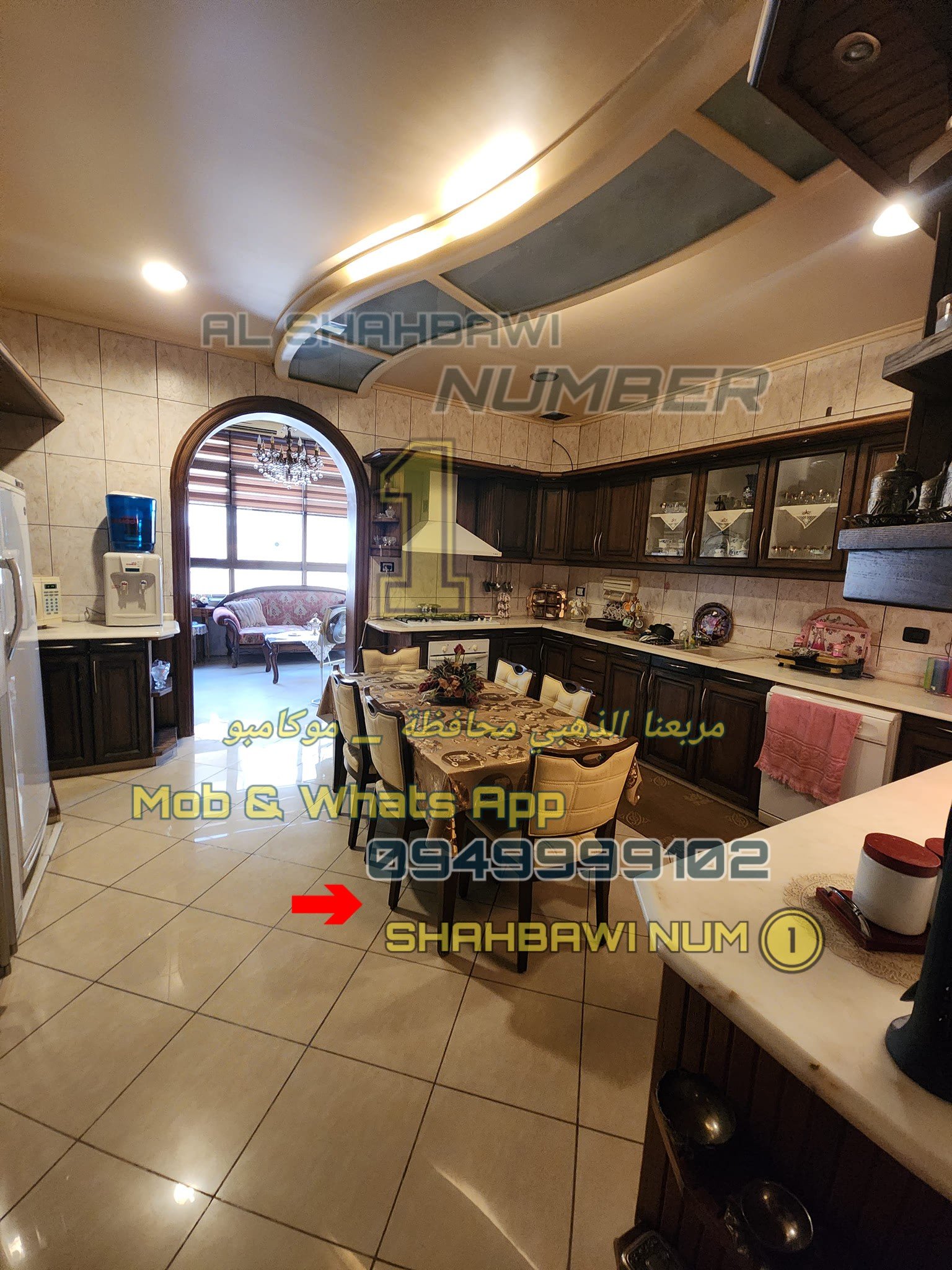 501553764_1133741582113718_3891598788719411485_n