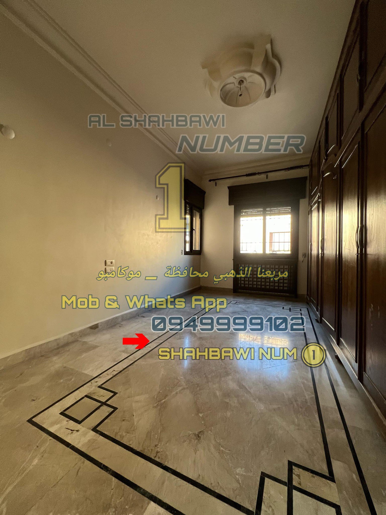 501757275_1132644168890126_3557112878137362996_n