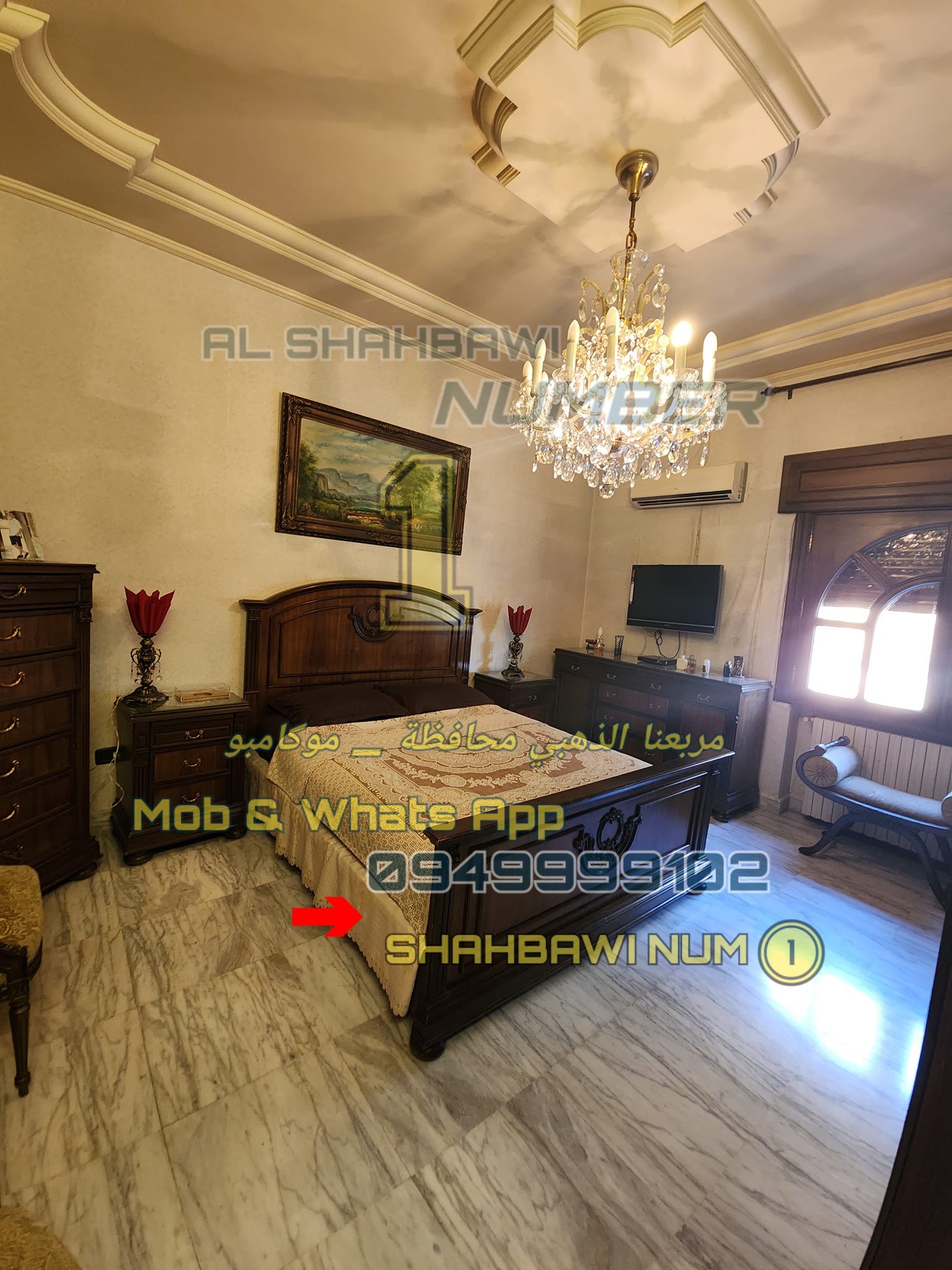 502434777_1133741635447046_6634879119809953527_n