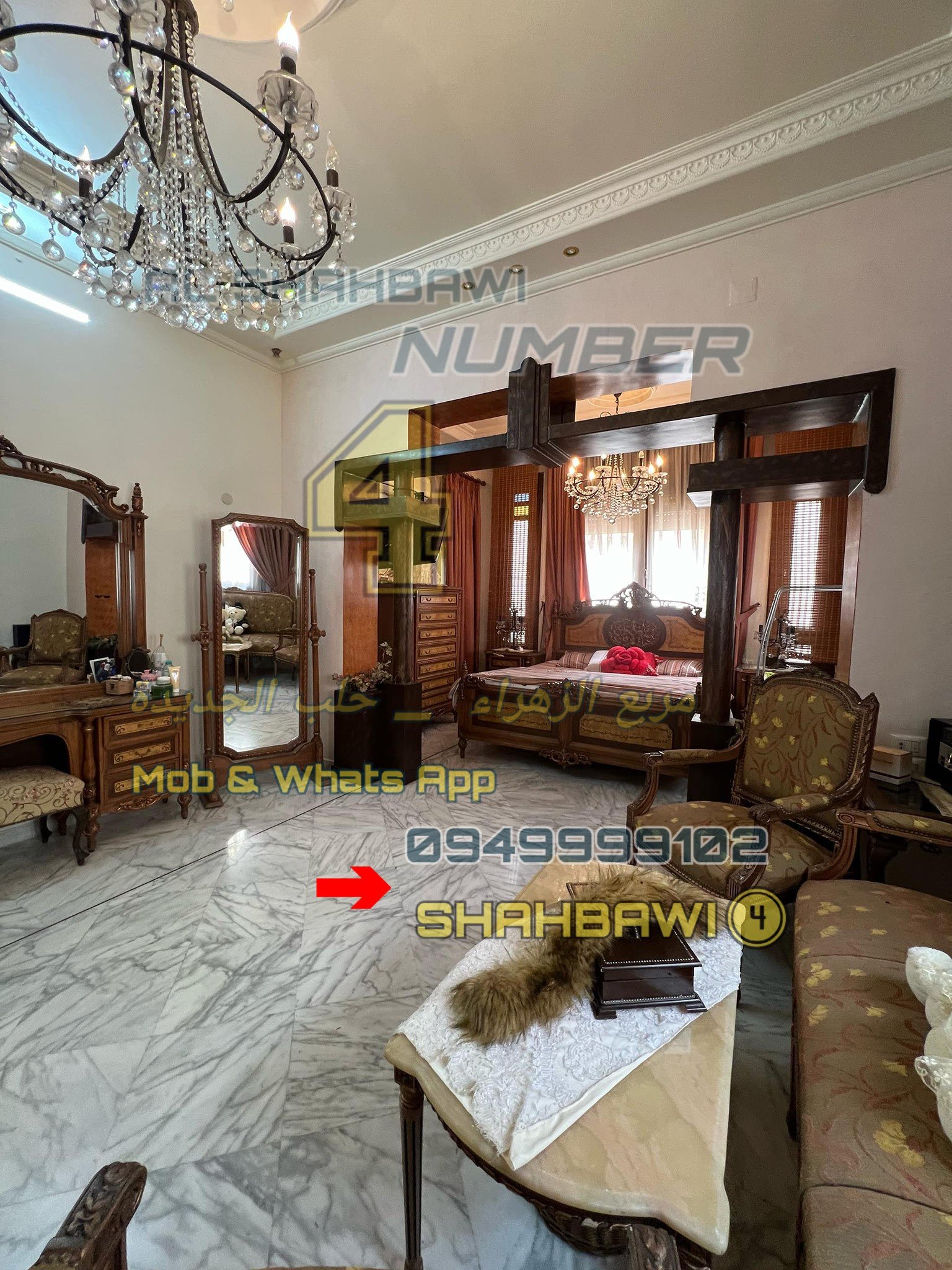 502472867_1134963338658209_7250180911274129799_n