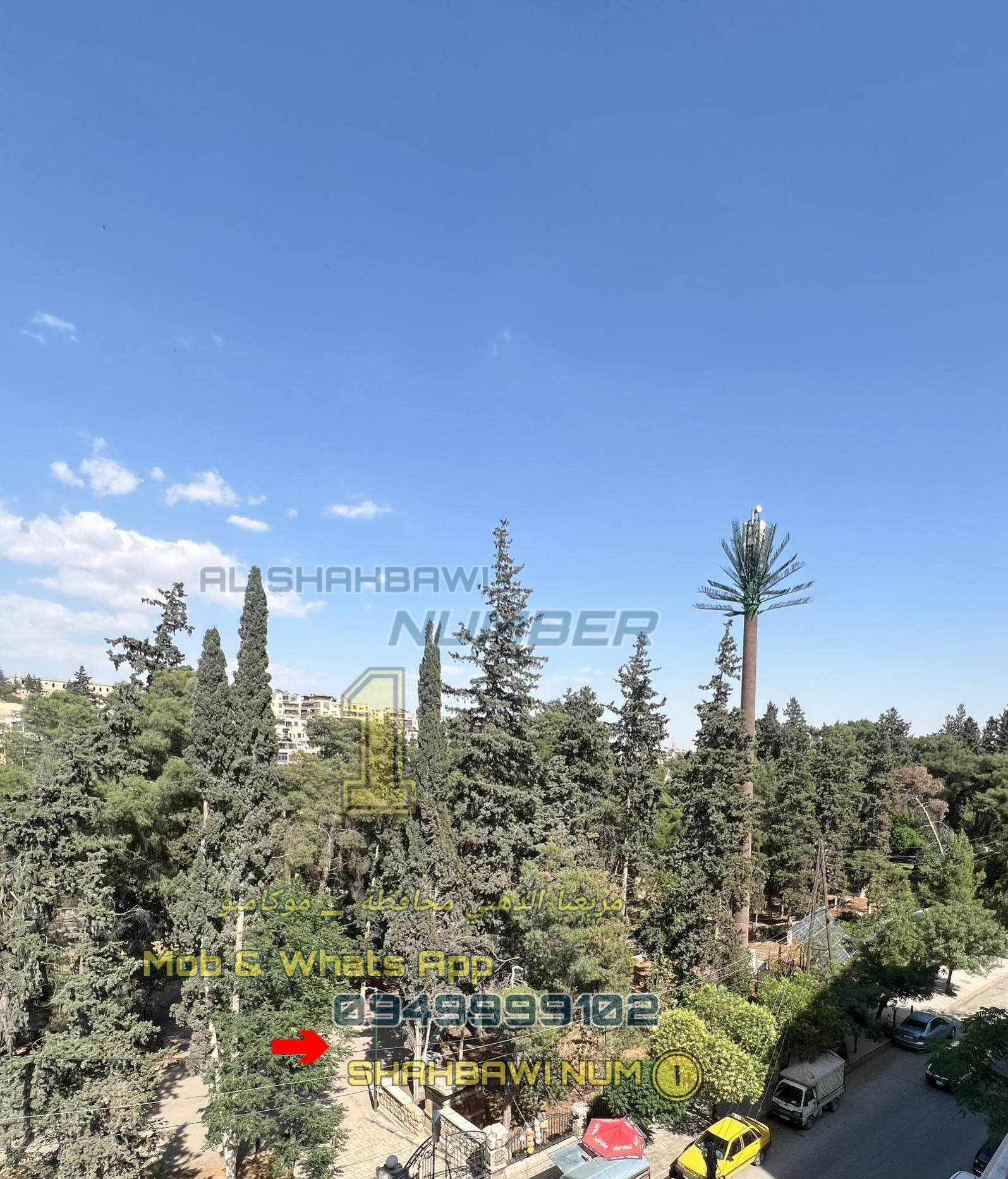 502523038_1134977908656752_4558625271329703688_n