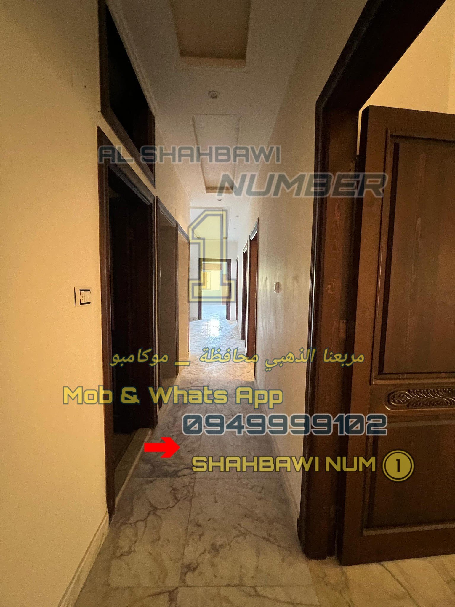 502525230_1134979658656577_461487899442316416_n