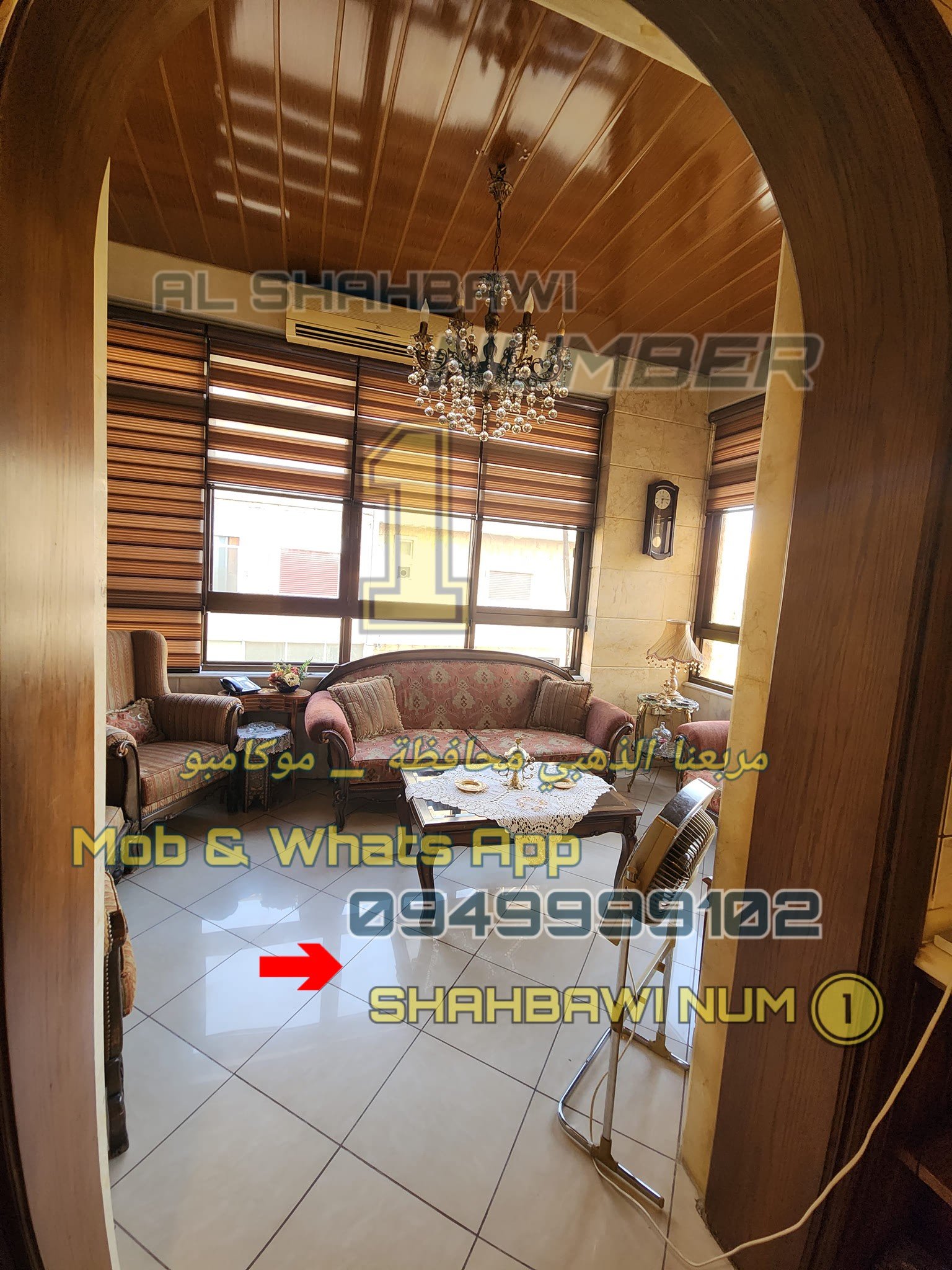 502571010_1133742108780332_8173332551108374956_n