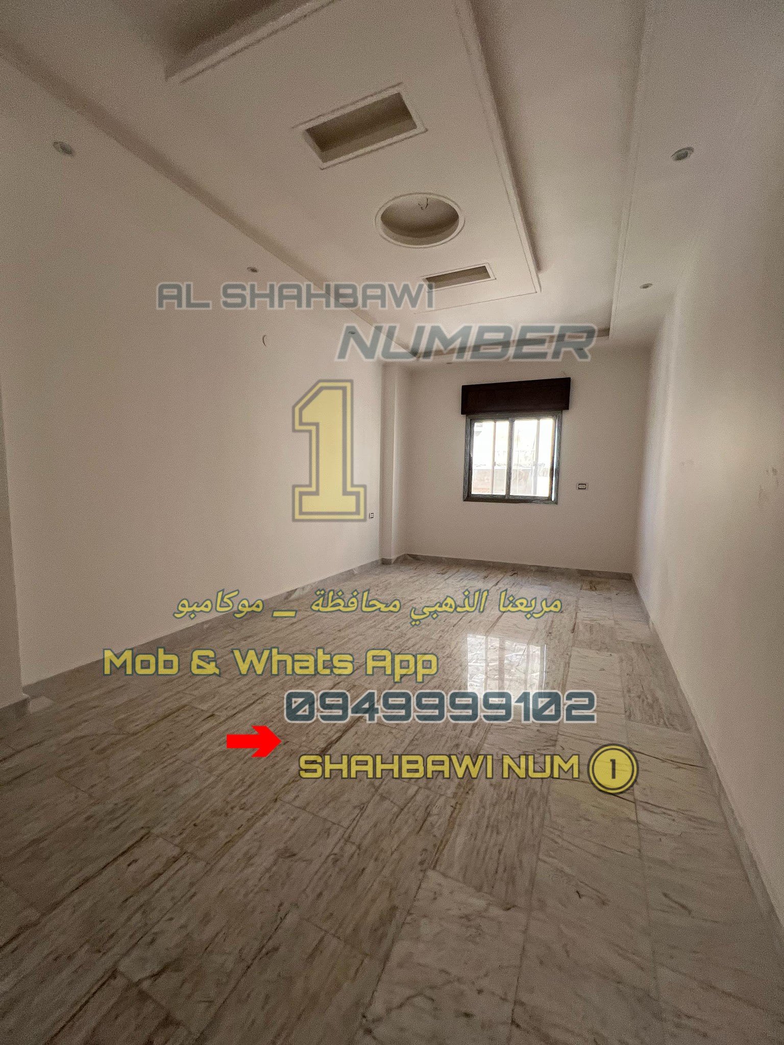 502684321_1134978735323336_1288199714036936401_n