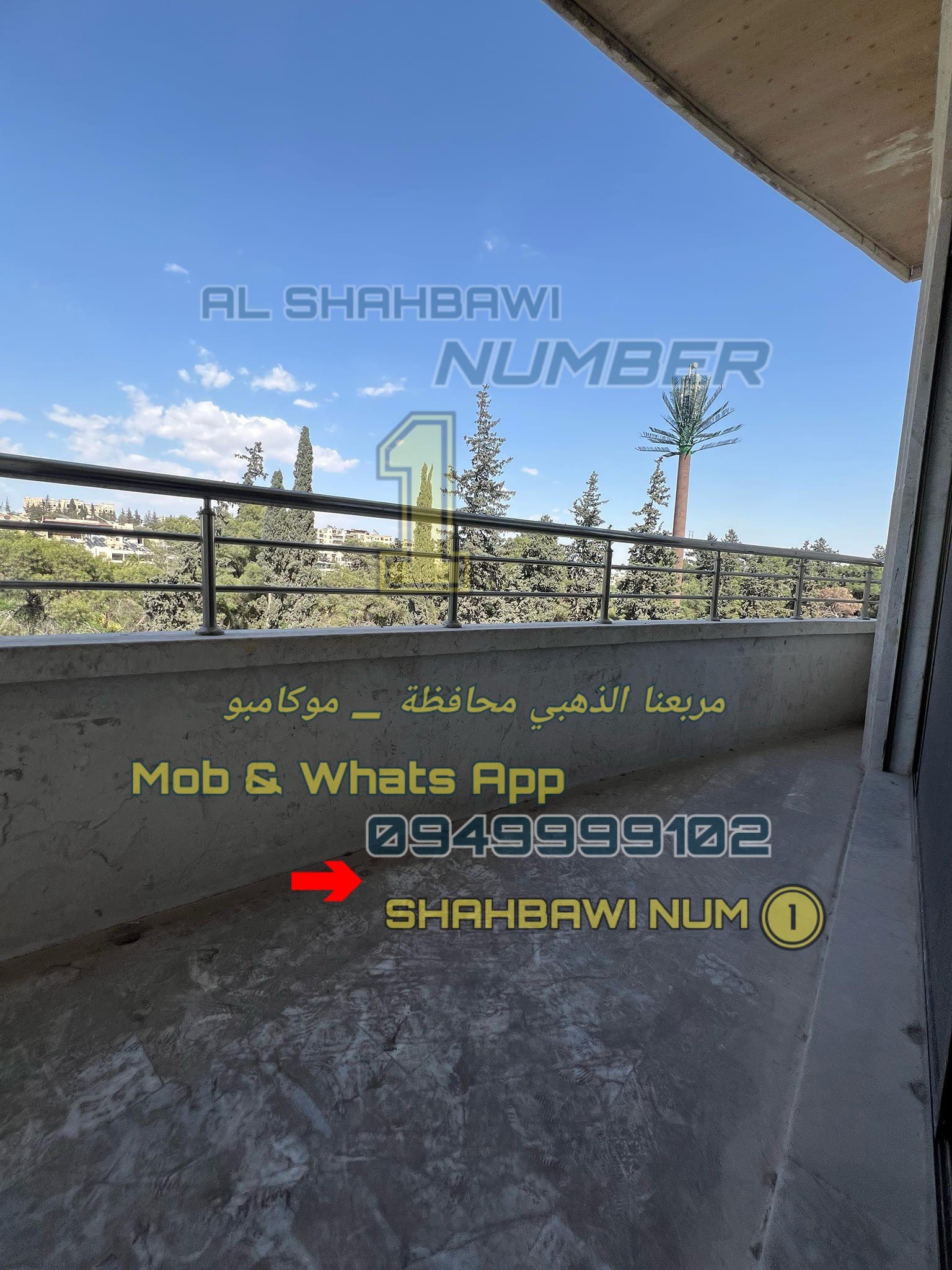 502686842_1134979375323272_7208460114722107118_n