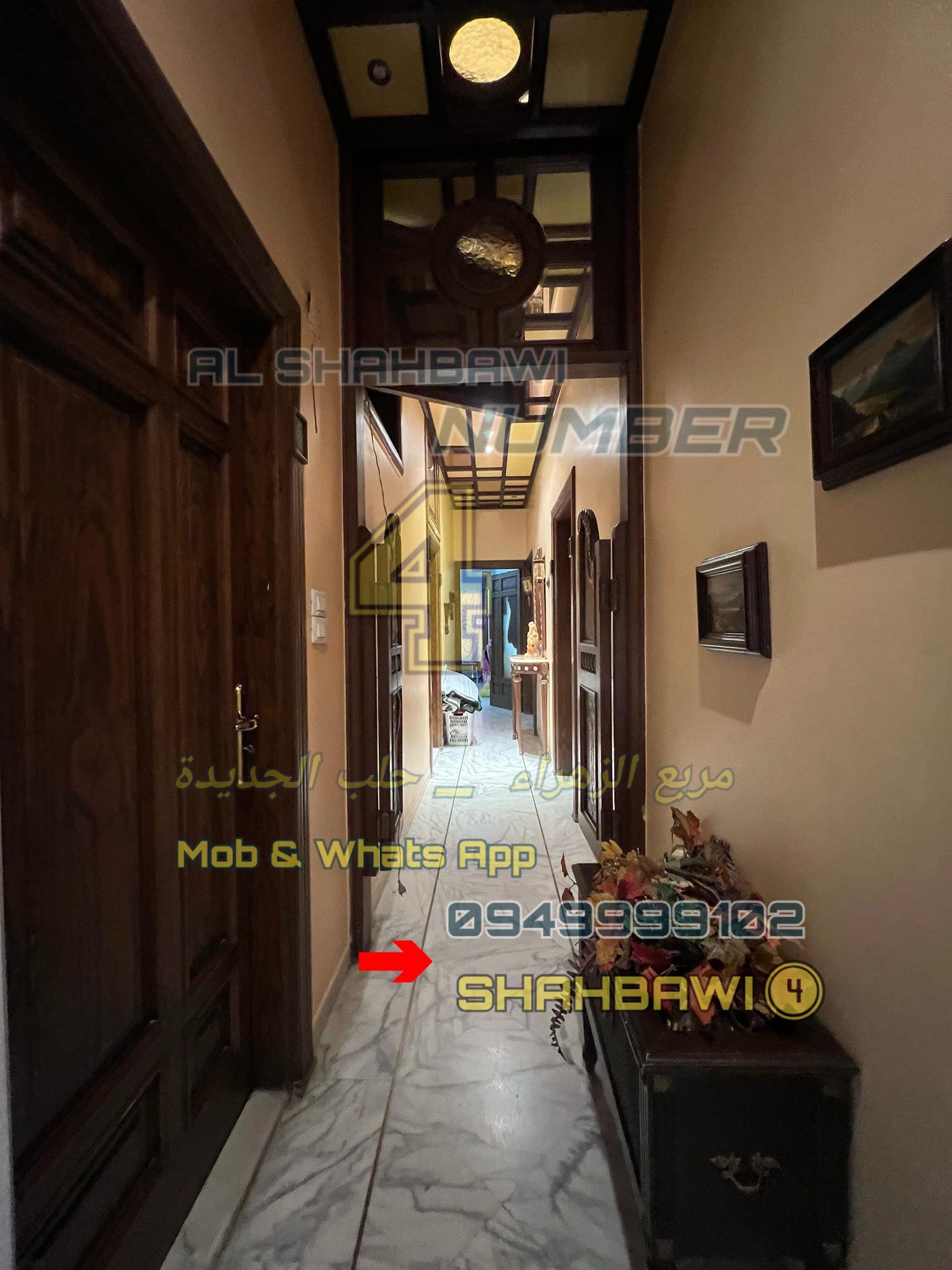 502760224_1134964501991426_7880900577314885140_n