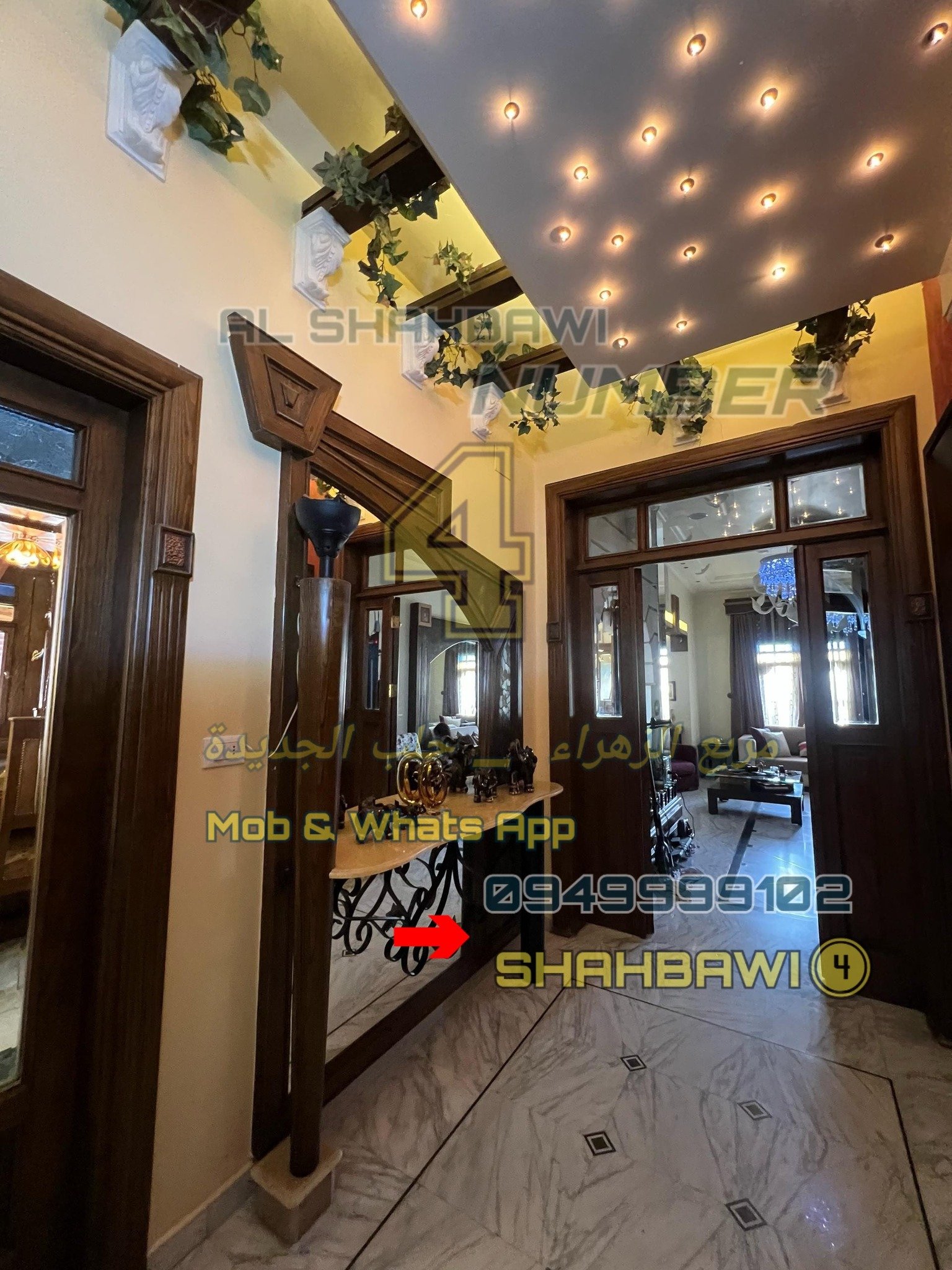 502851749_1134964531991423_9016820409935676335_n