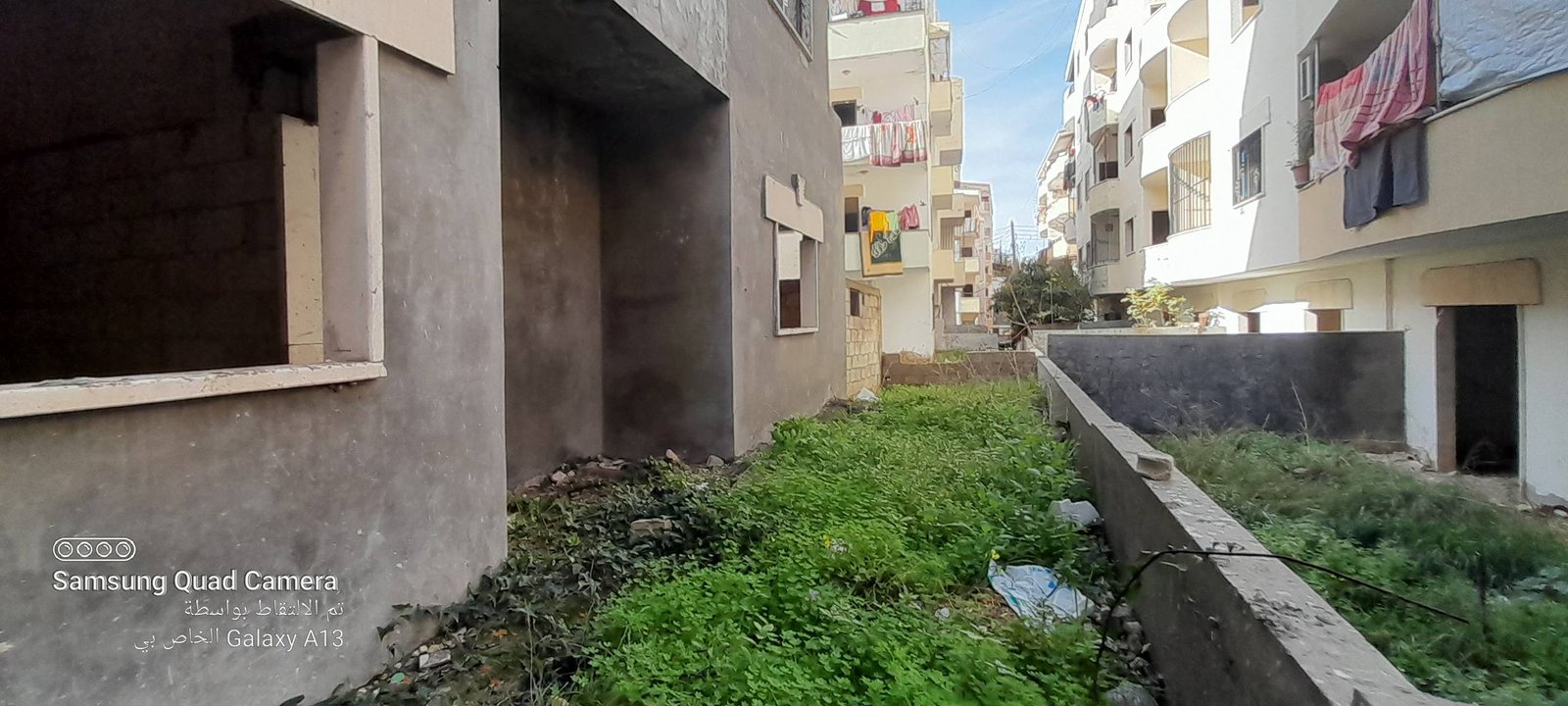 489928127_703453048703496_5606017605305650494_n