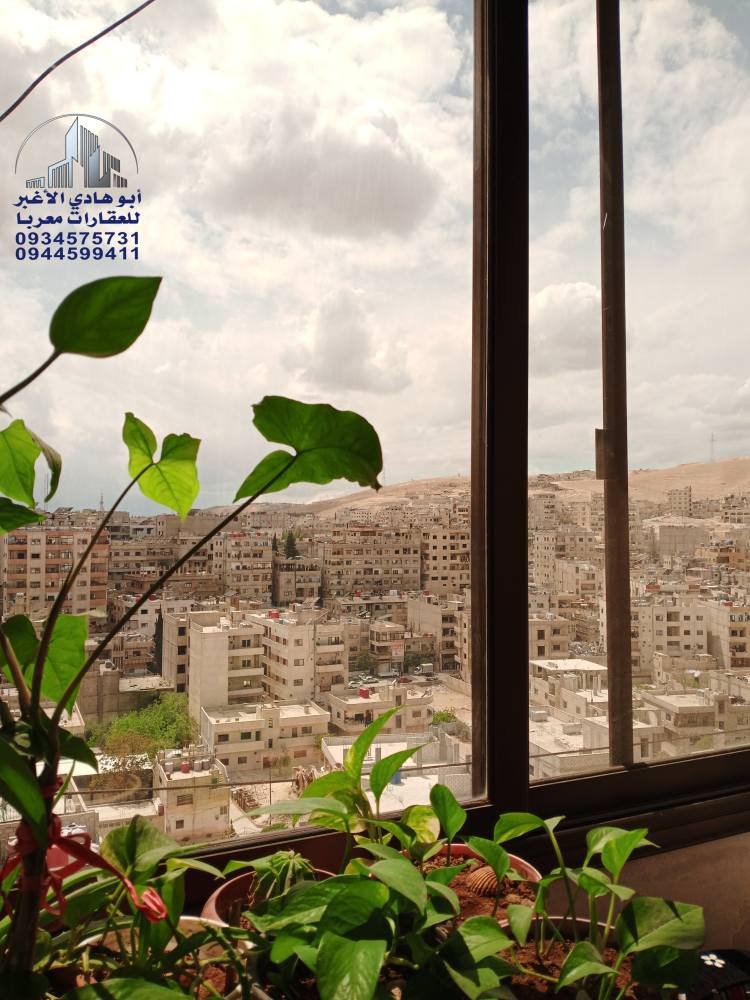 490110075_122149632938548386_4468064966191189508_n