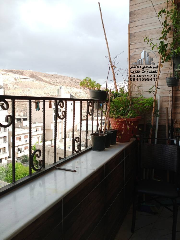 490141840_122148856028548386_3828486145635868645_n