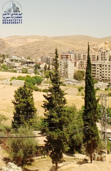 491354745_122150267138548386_1456611623888795685_n