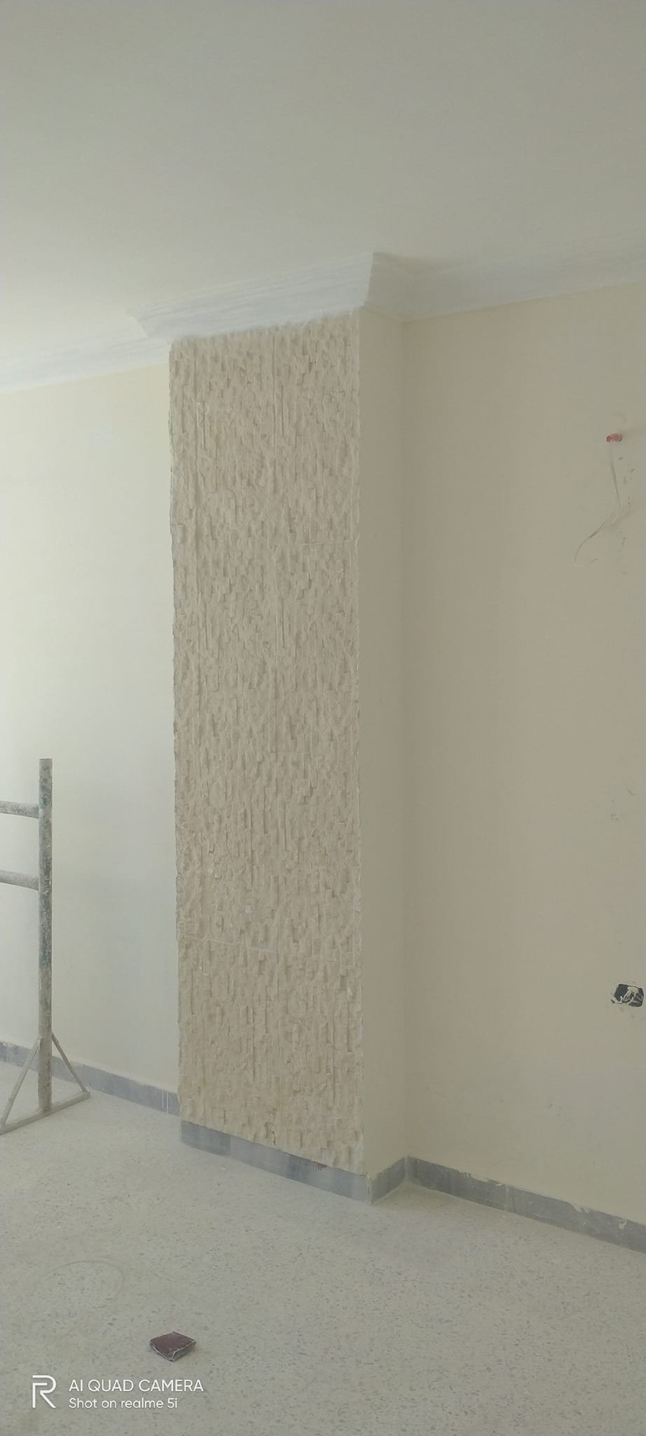 491543998_1525128002224077_3474120533446054451_n