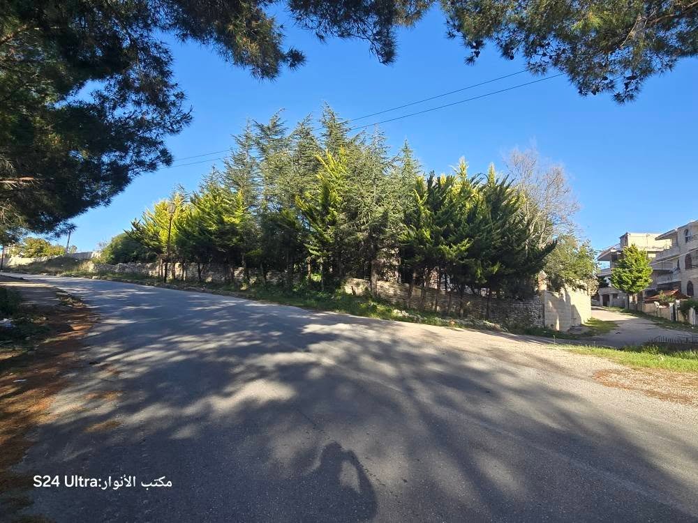 491939654_1087295953418947_8663411228596237389_n