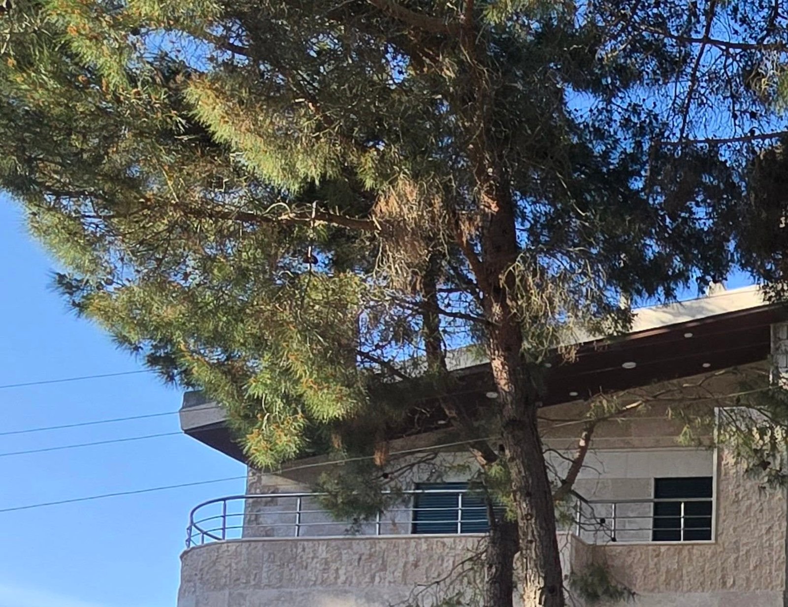 492086744_1087463246735551_3501759839342830274_n