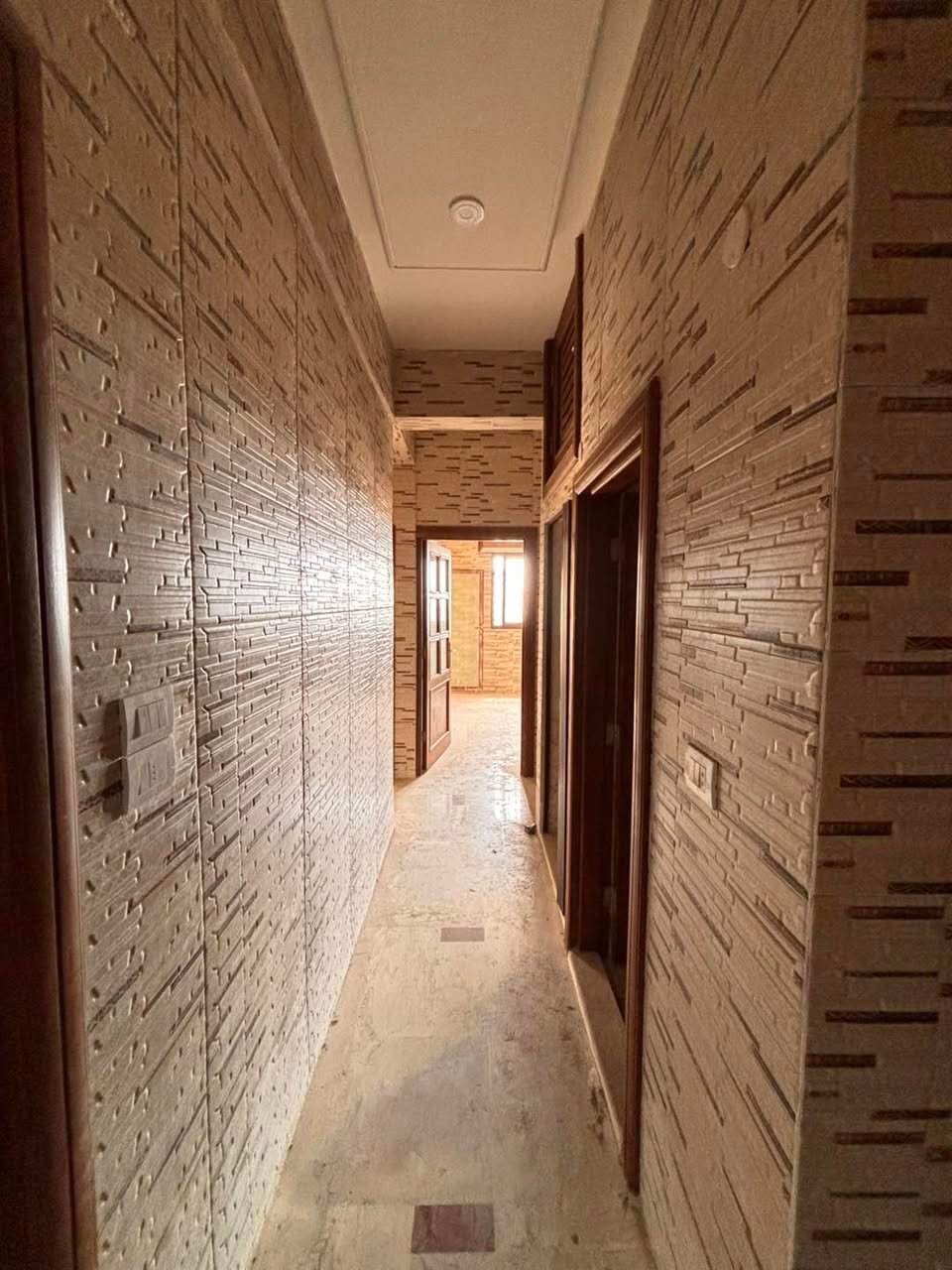 493061125_1226837459446020_8149142216329374720_n