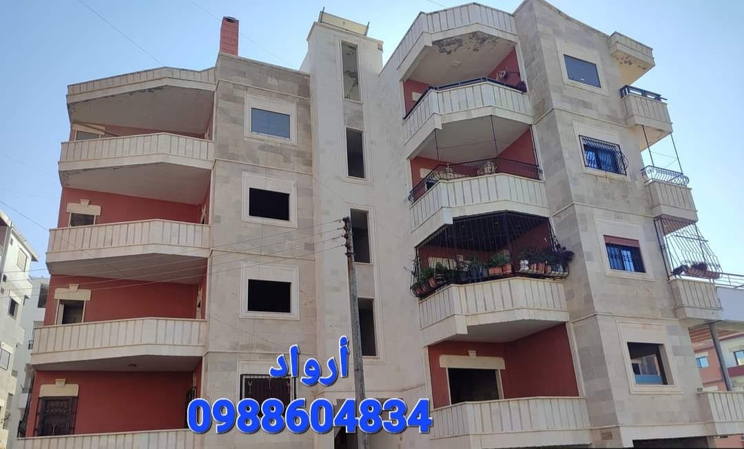 493810176_709303968118404_3331604228659136107_n