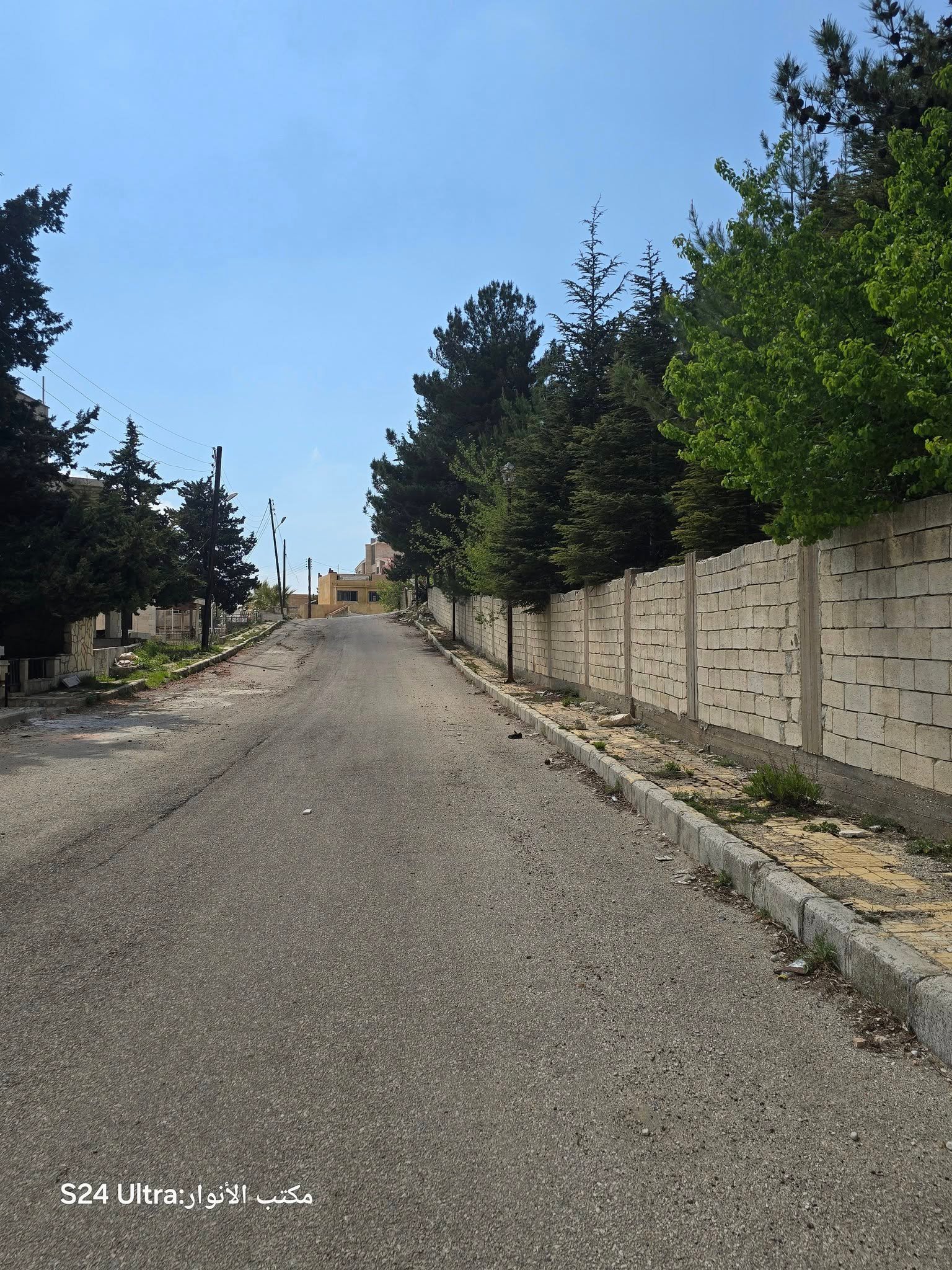 494164698_1094352432713299_6865084799759816792_n