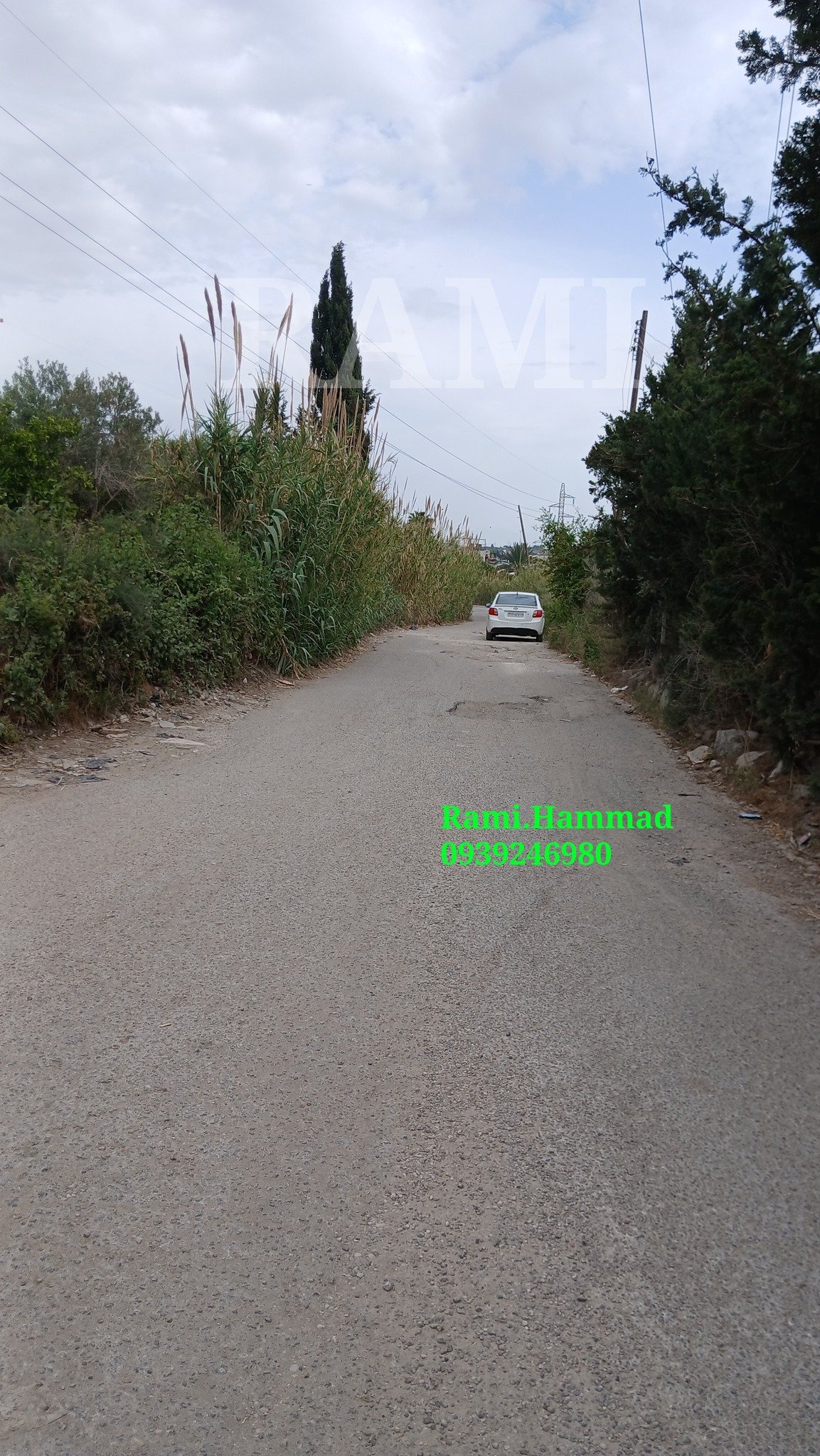 494216869_711444864706282_4782875108414343143_n