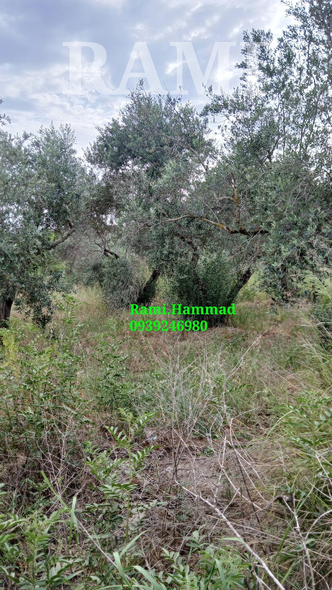 494310223_711455661371869_5544572714211178924_n