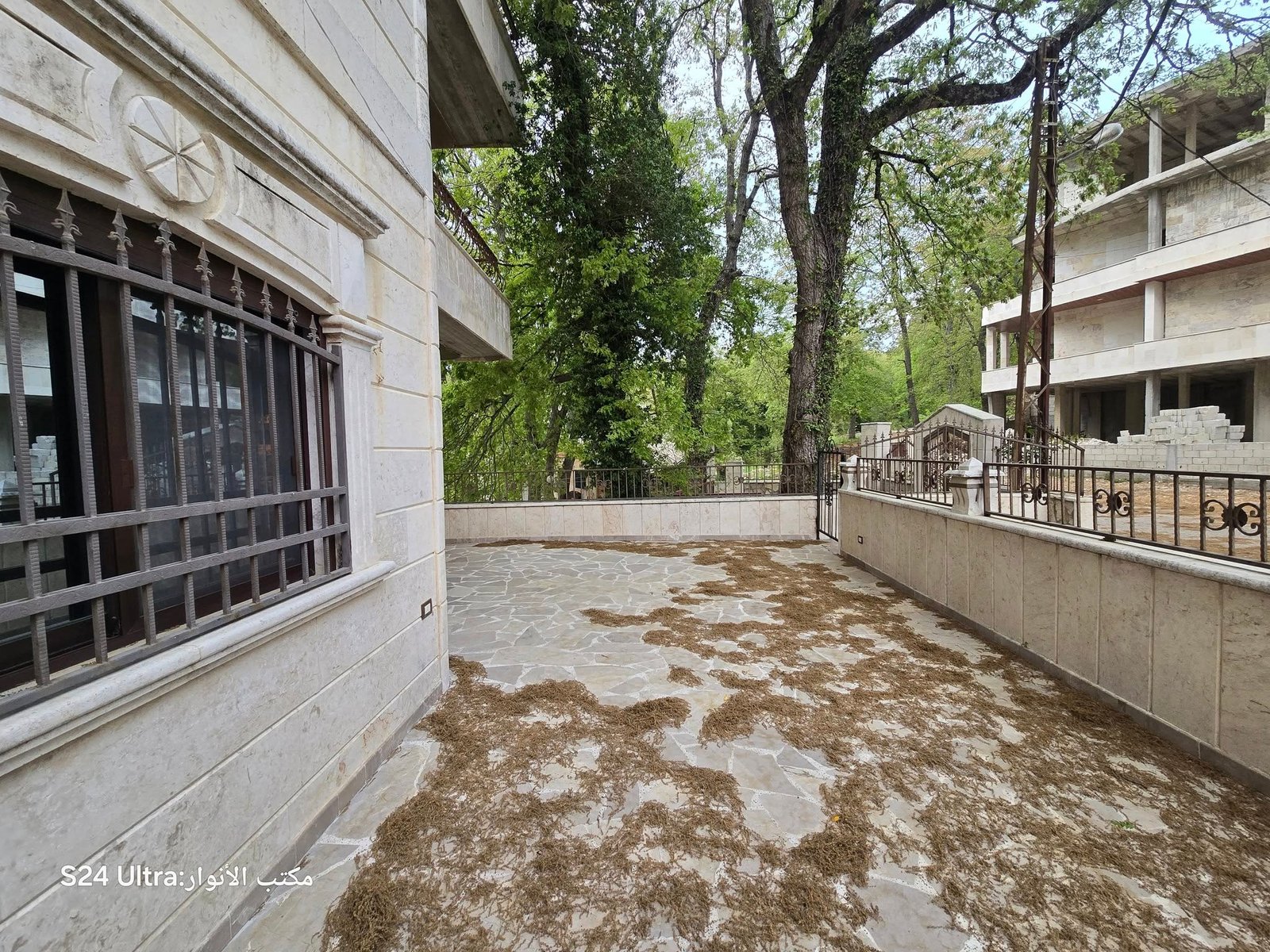 494352140_1096027819212427_7418229801830252333_n