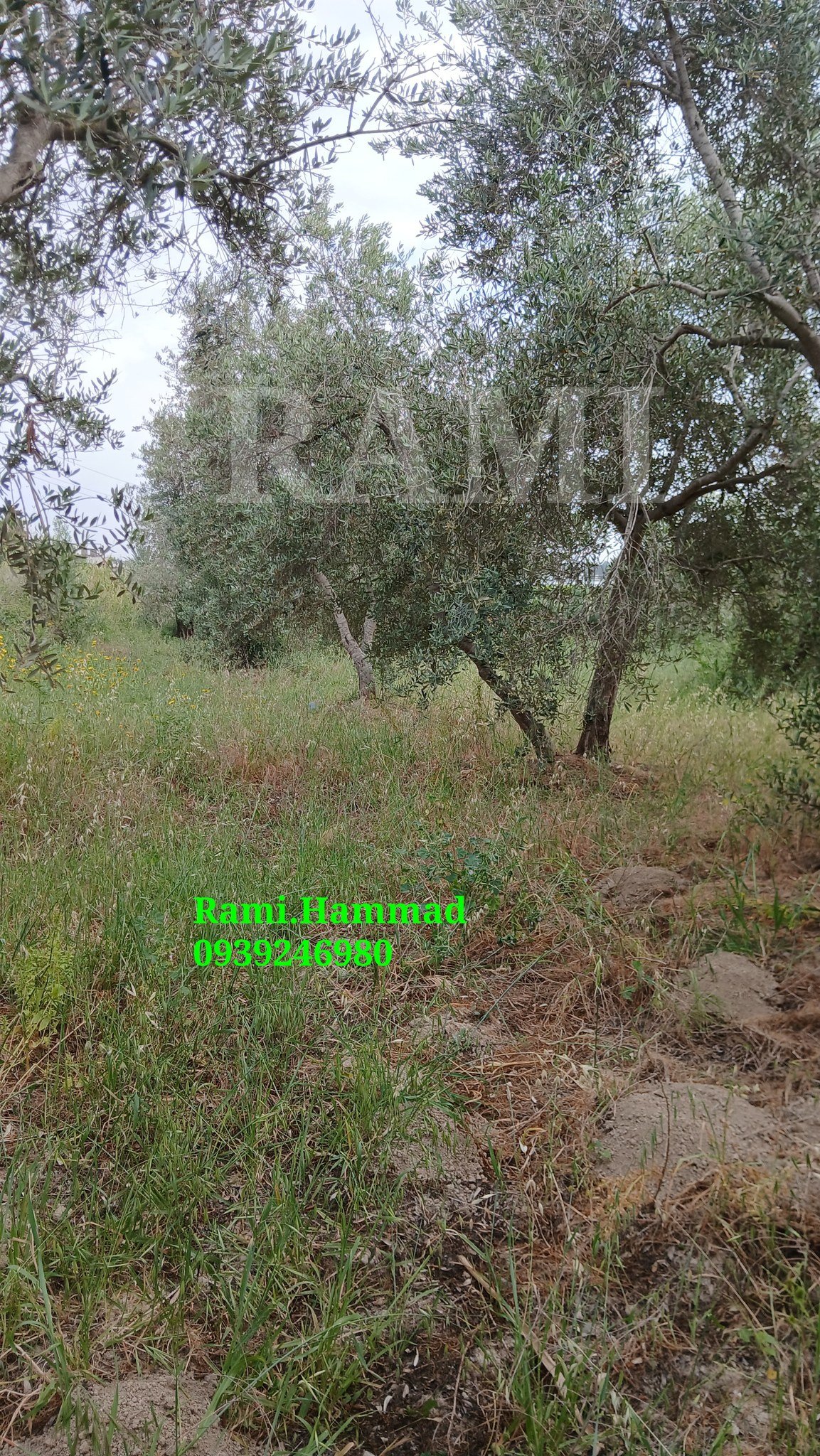 494442328_711455298038572_3397570769122049787_n