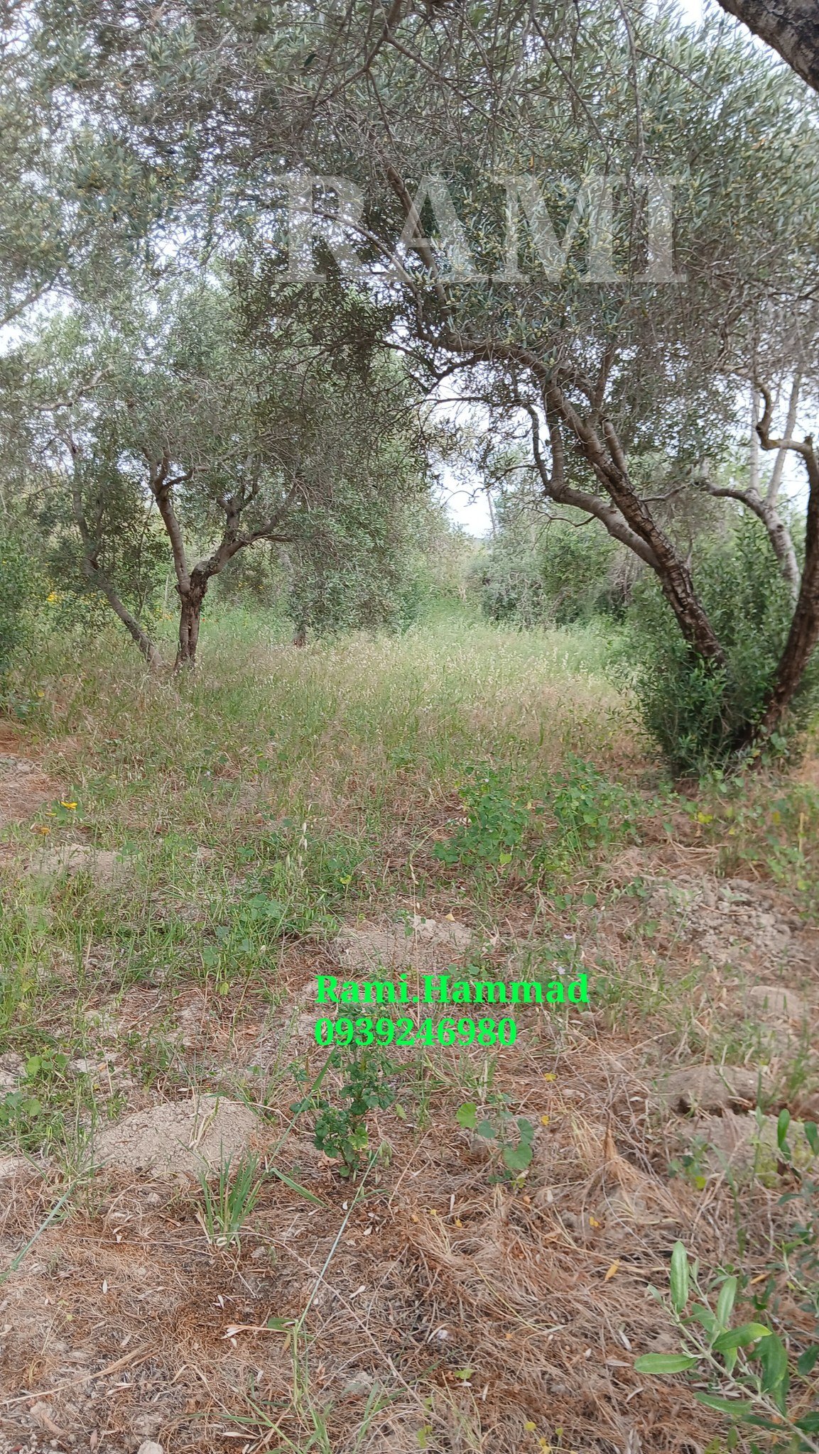 494522415_711449578039144_6301269261867572297_n