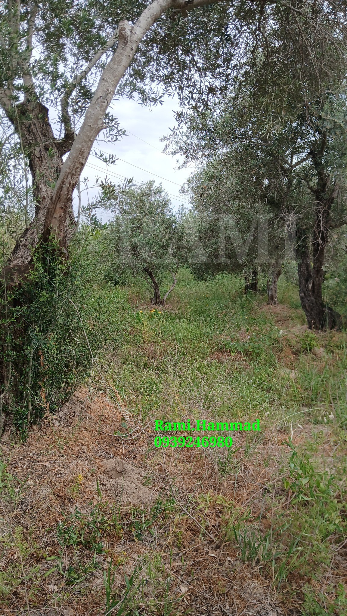 494582313_711445471372888_7557432891861888118_n