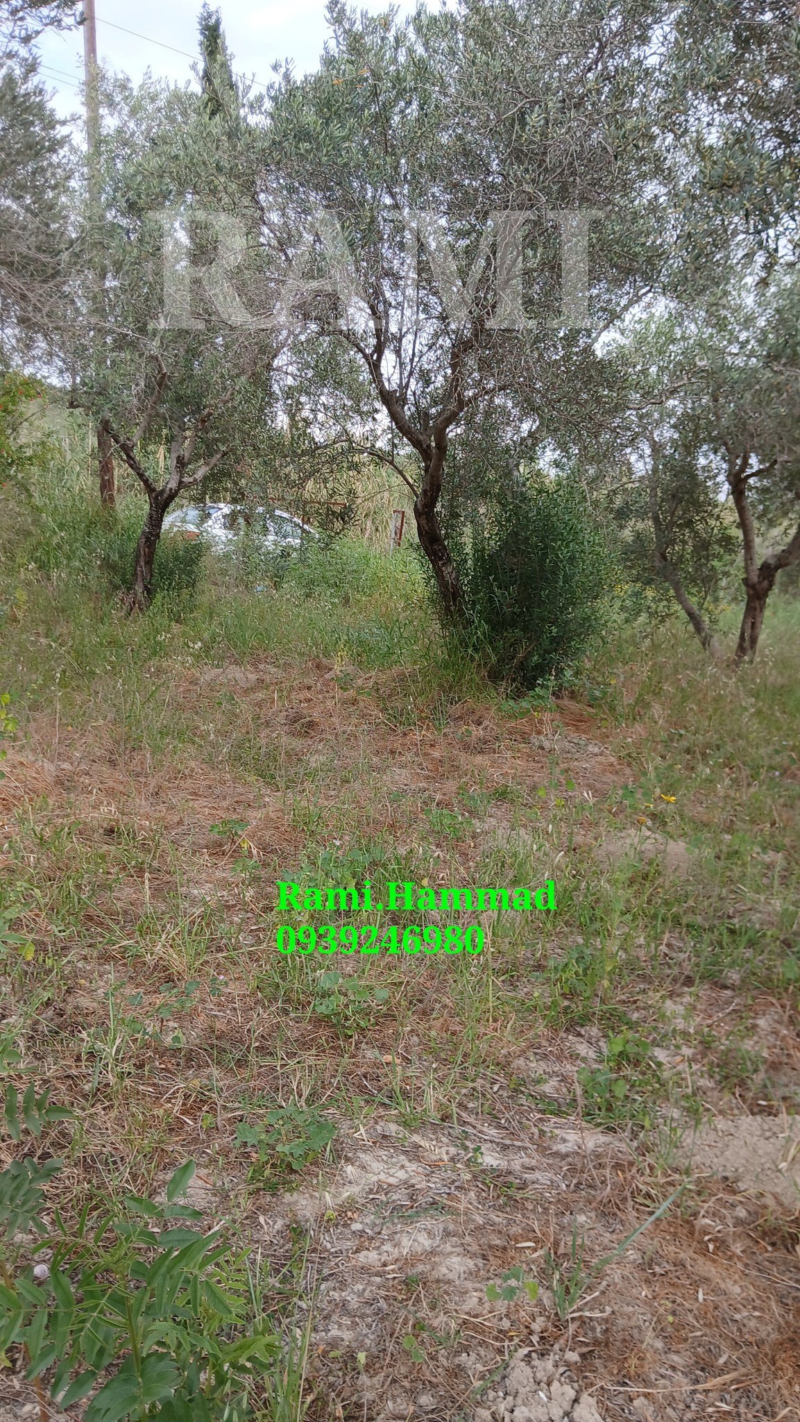 494996353_711446044706164_4716746751346683132_n