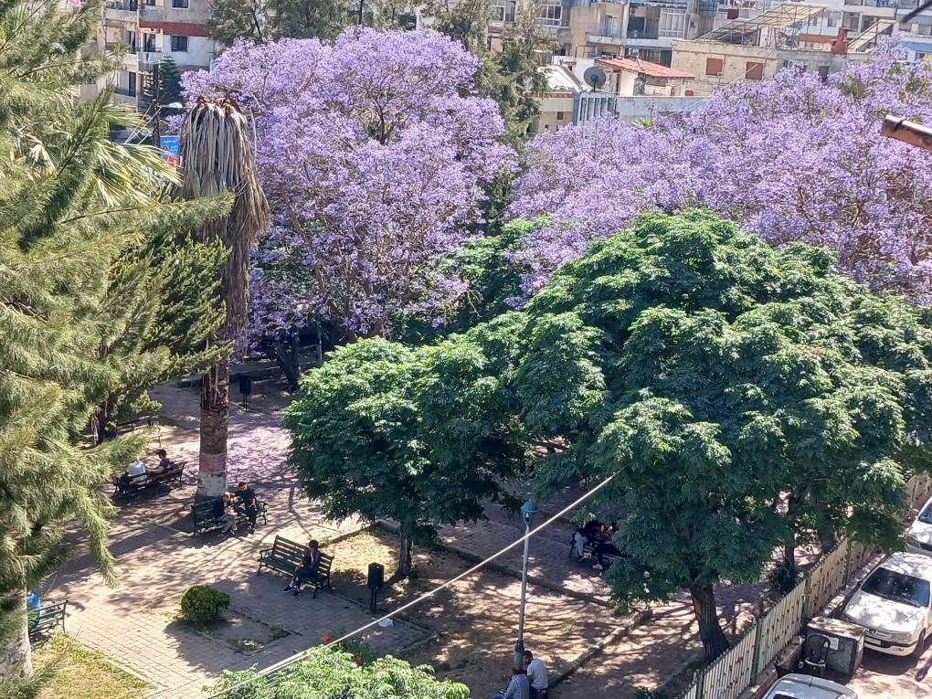 495600887_1066811828830537_7741878483389654873_n