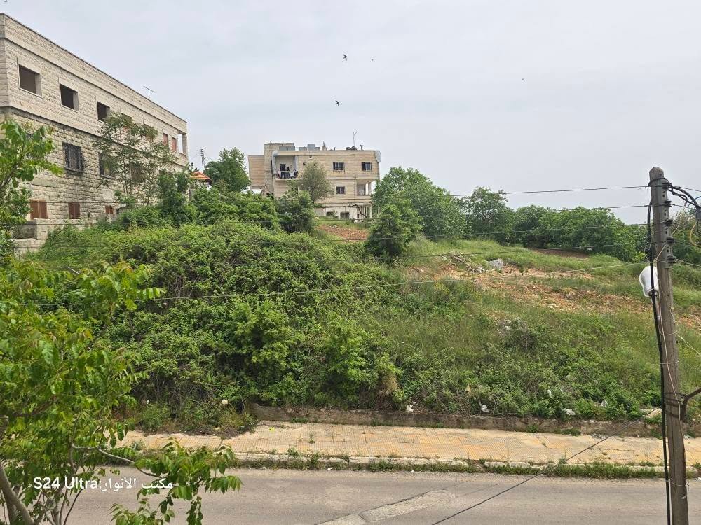 496801169_1104691848346024_6070519722015399162_n