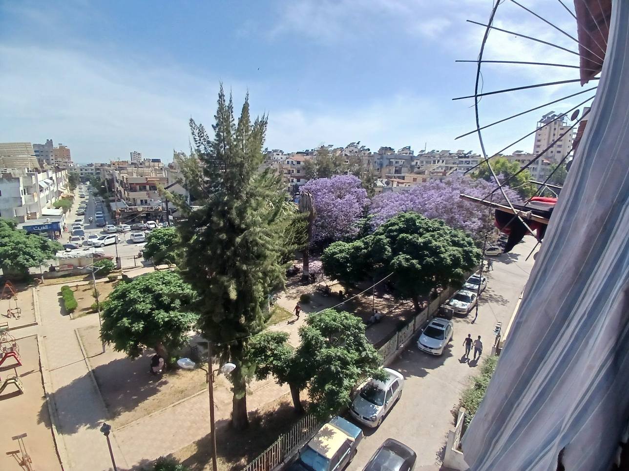 496926284_1066811708830549_4466571822977961694_n