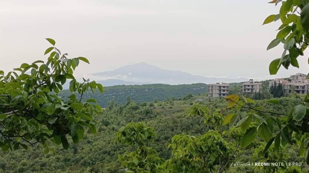 499405150_1111561030992439_3648594097795510468_n