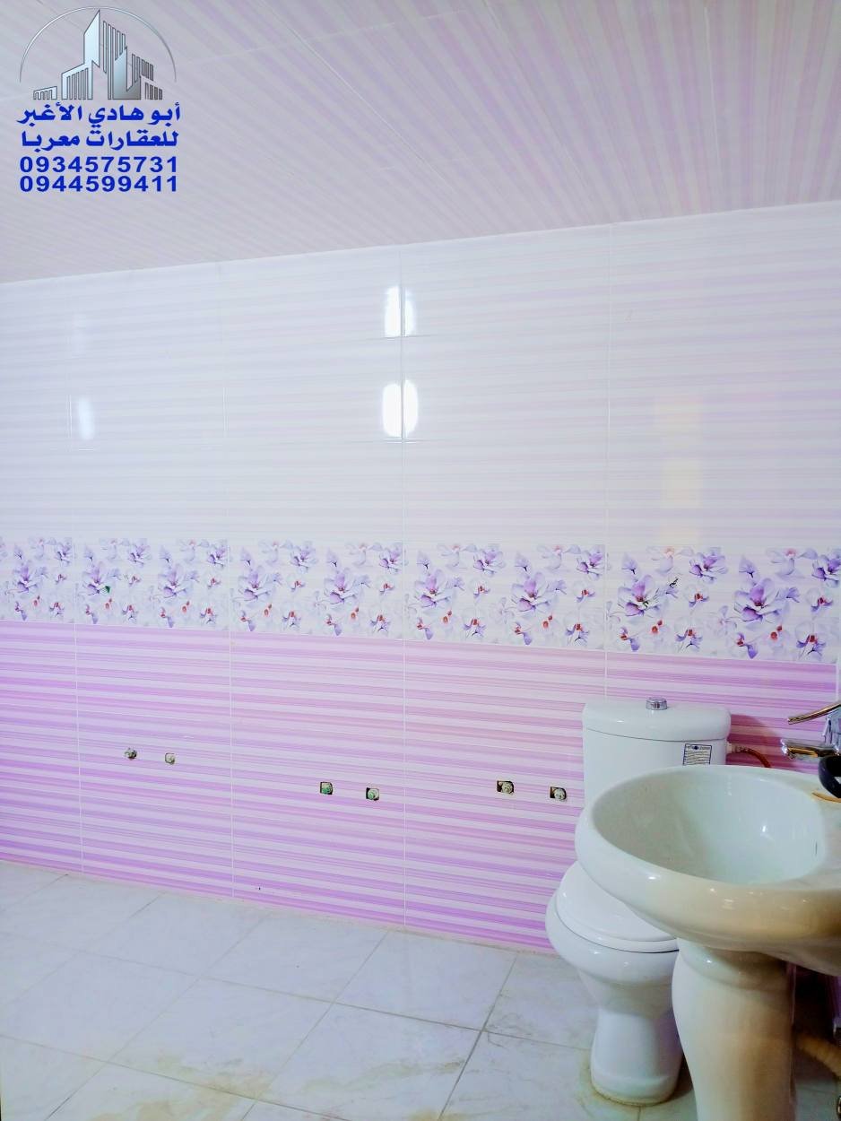 499548919_122157400808548386_8767683394650912289_n