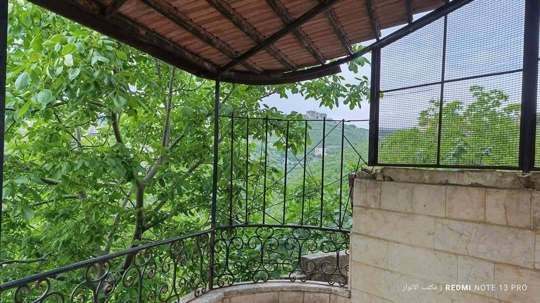 499567918_1111561234325752_6037702178498164614_n