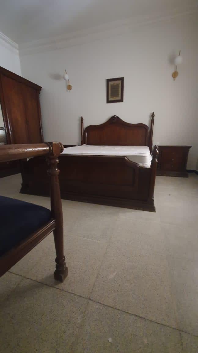 499824312_1248475273948905_5719699632638150374_n