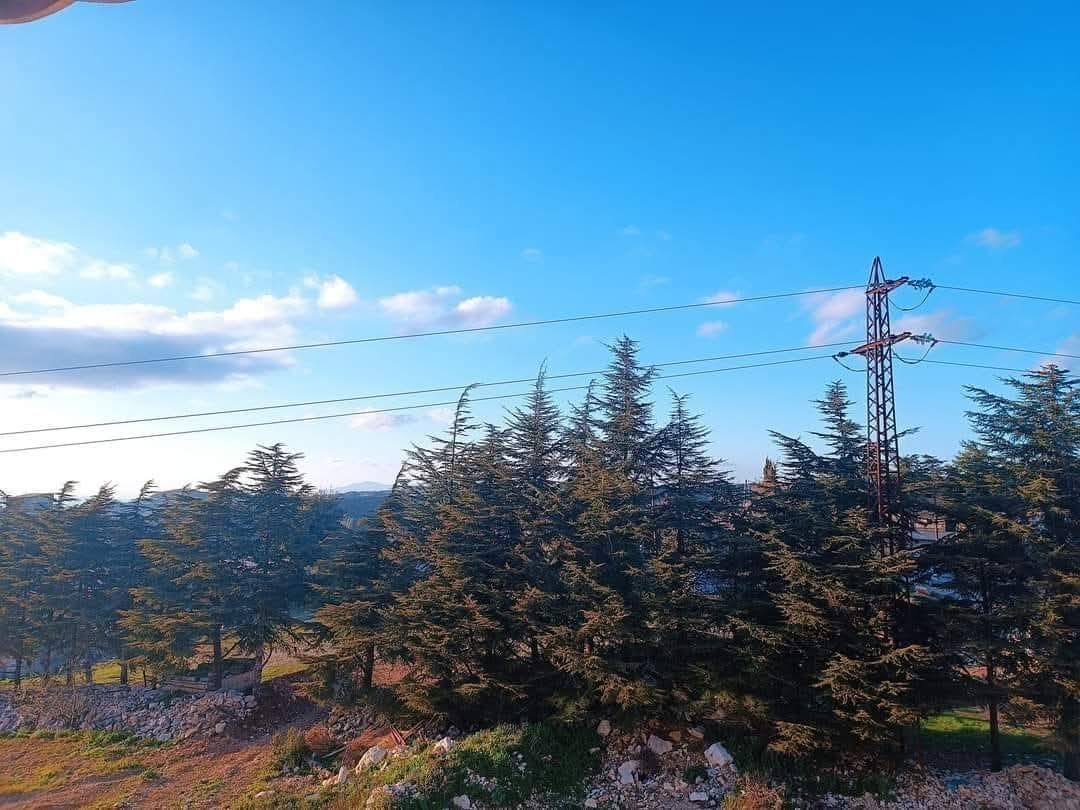 499923683_1114413097373899_7588102991344905314_n